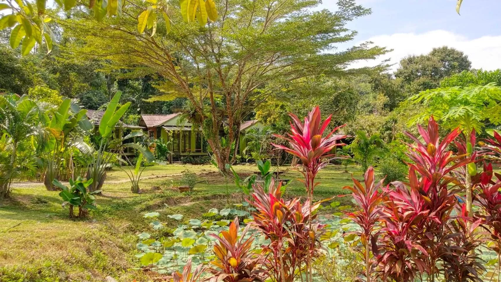 Natural landscape, Garden in Baan Bua Cottage SHA EXTRA PLUS B5510