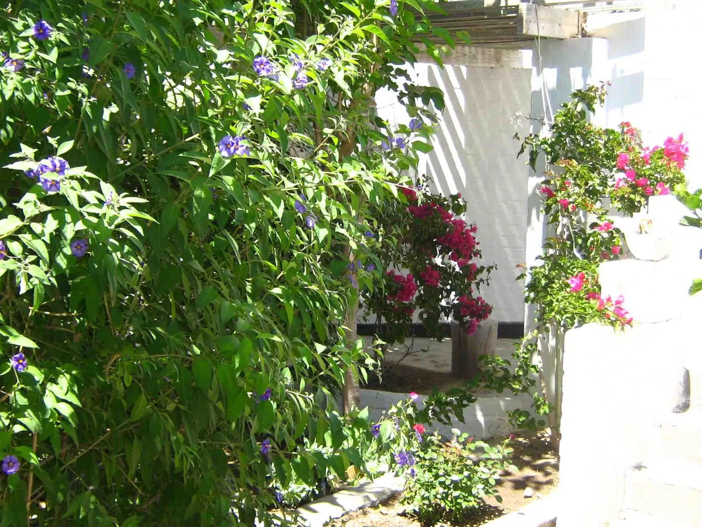 Alternative Space B & B