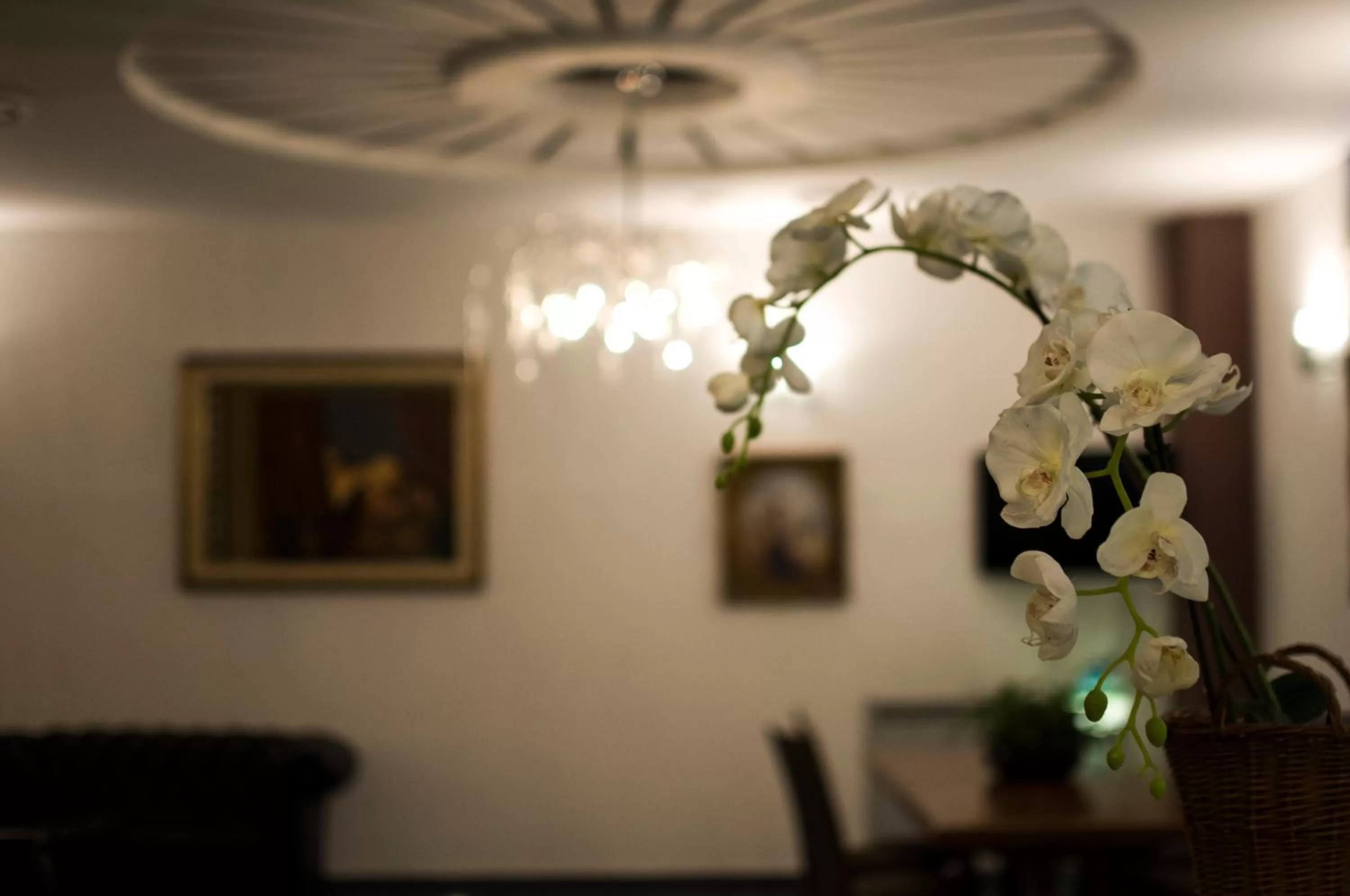 Lobby or reception in Royal Hotel