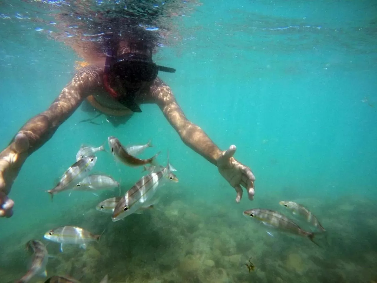 Off site in Hostel Das Canárias