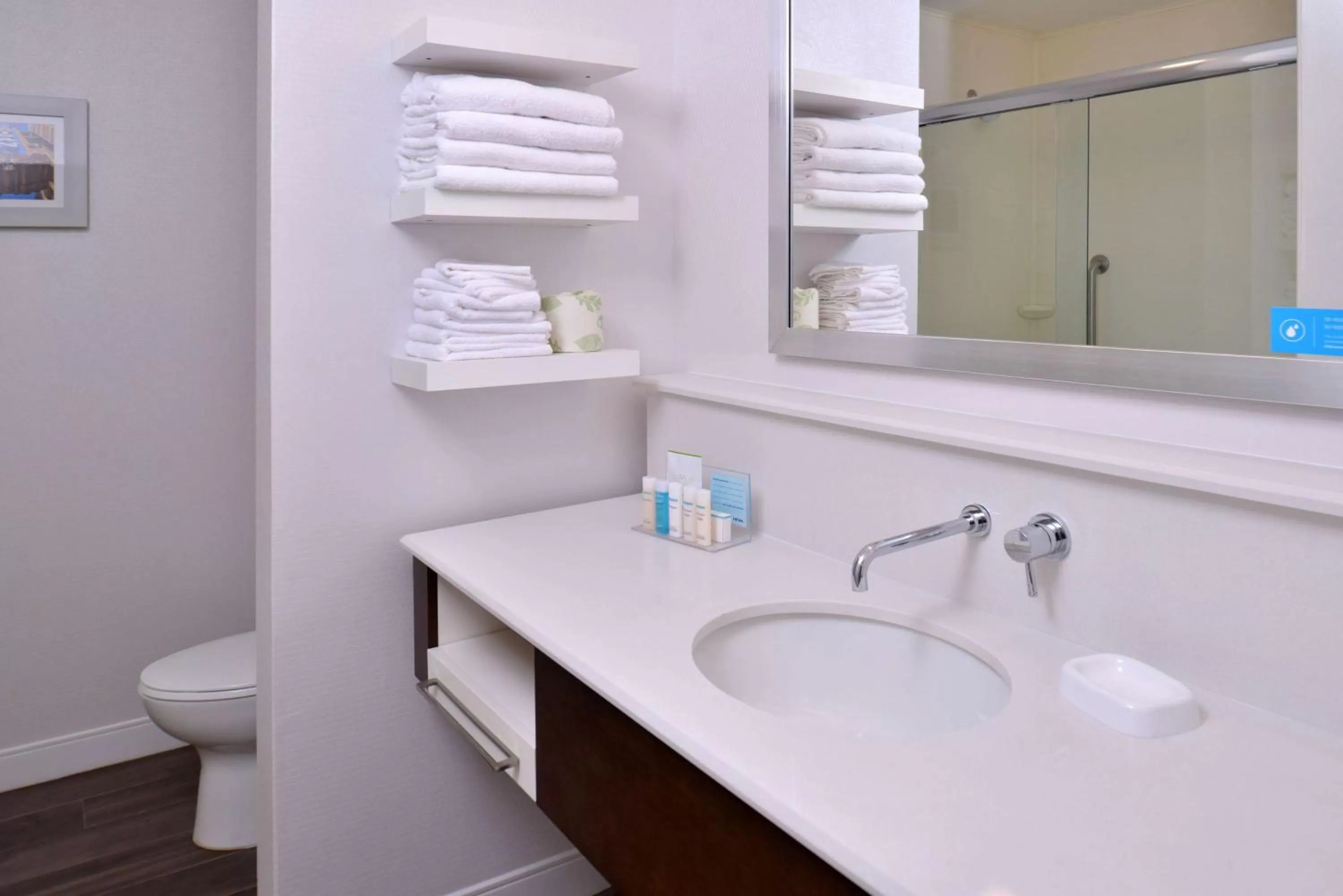 Bathroom in Hampton Inn & Suites Ann Arbor West