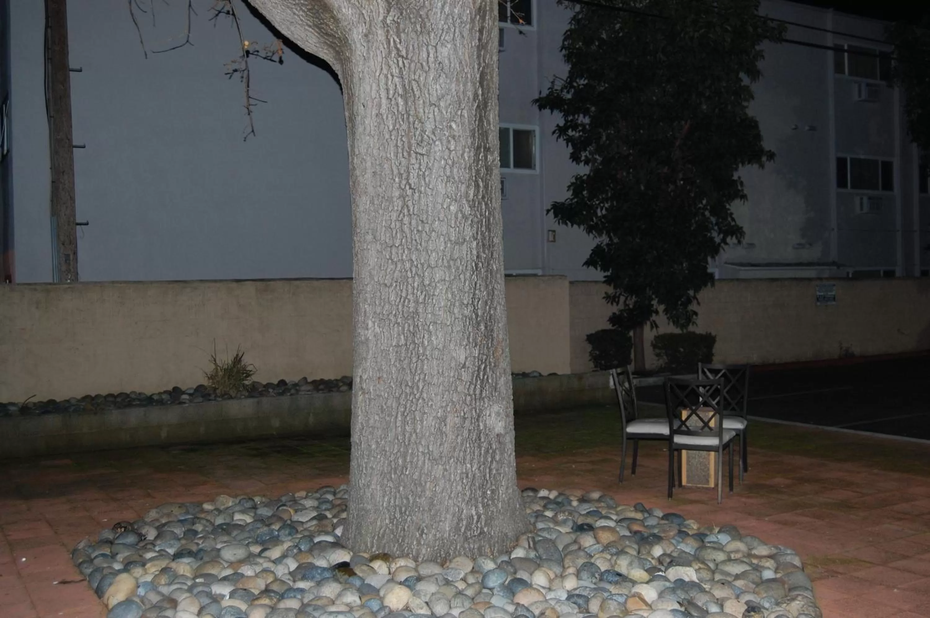 Night in Pleasant Hill Inn