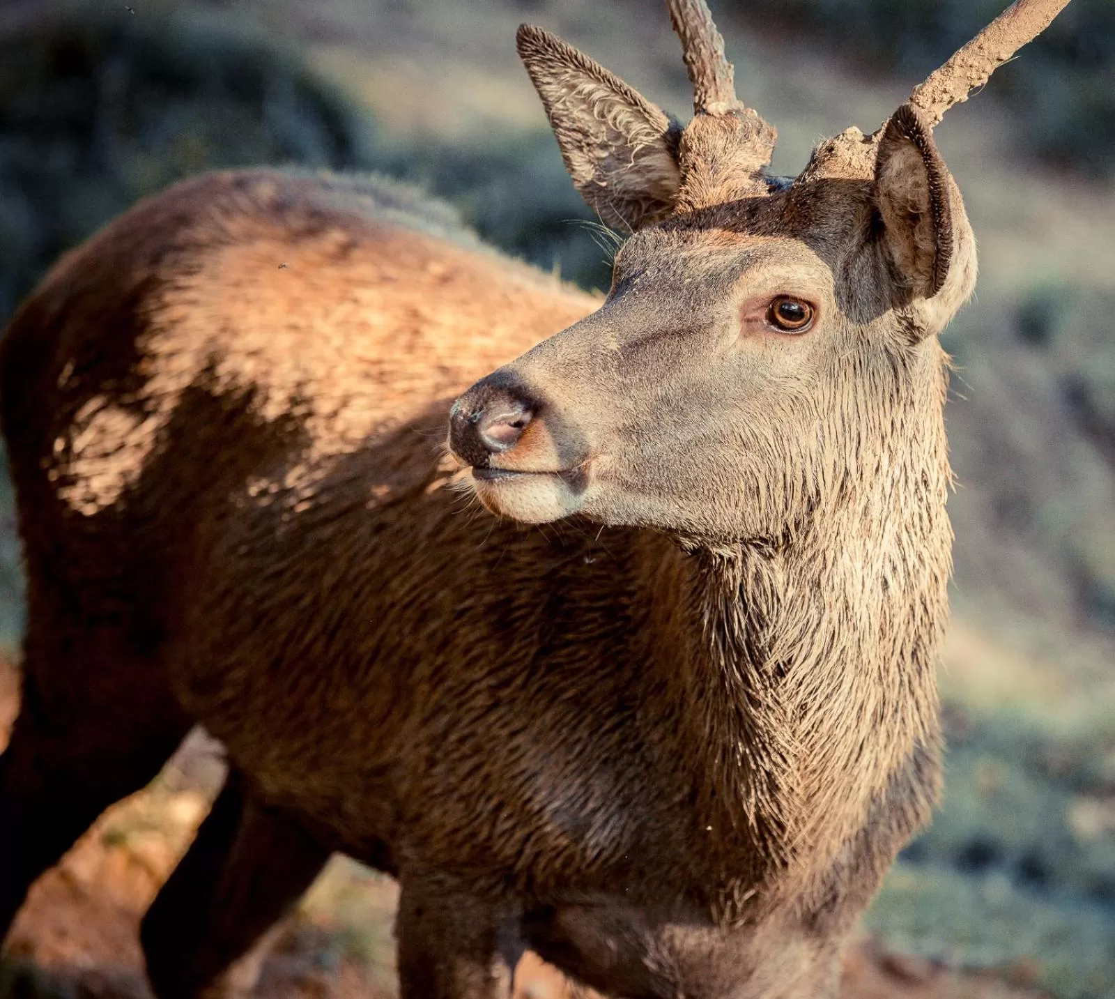 View (from property/room) in Landhotel Lammershof