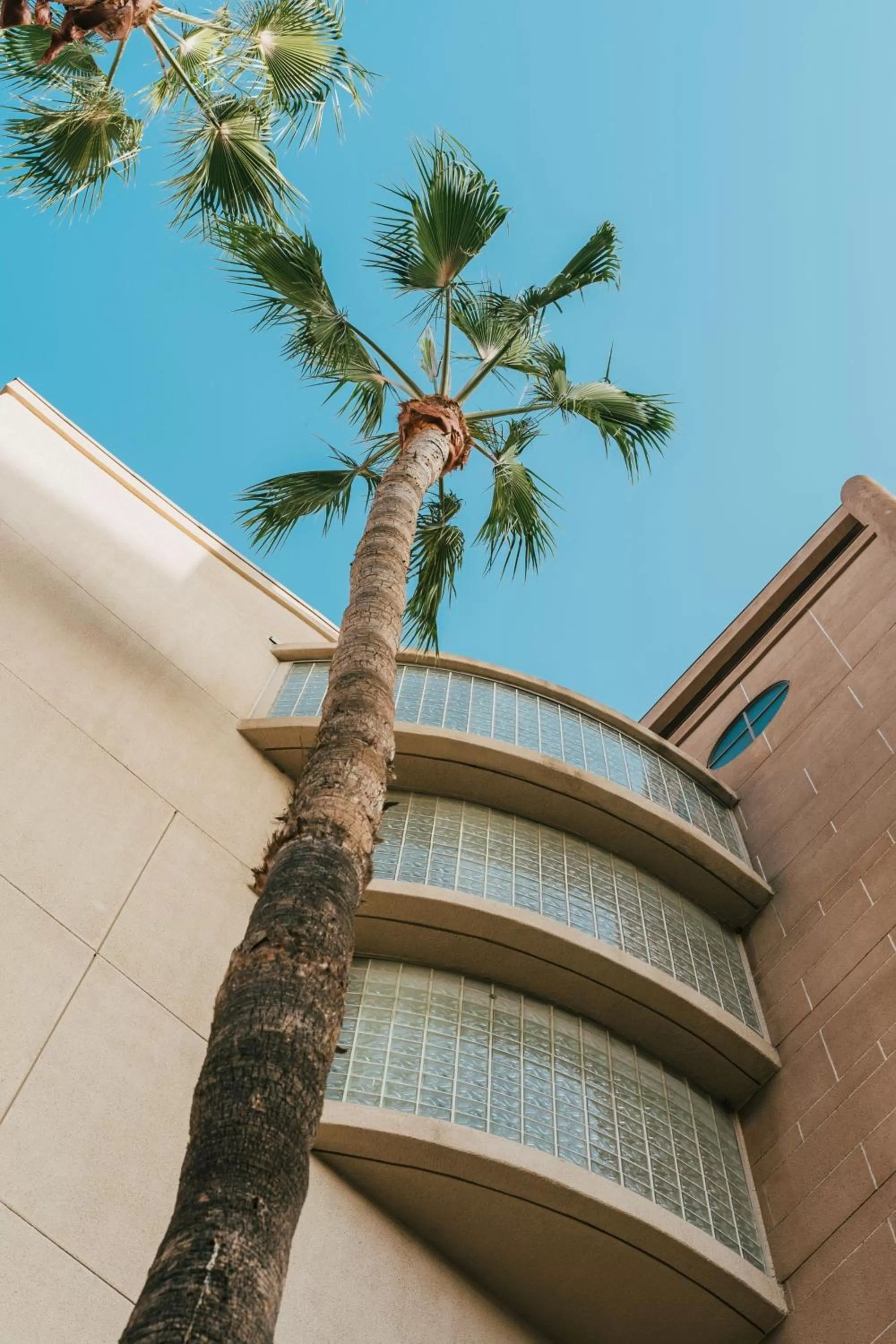 Property building in Courtyard by Marriott Los Angeles LAX / Century Boulevard