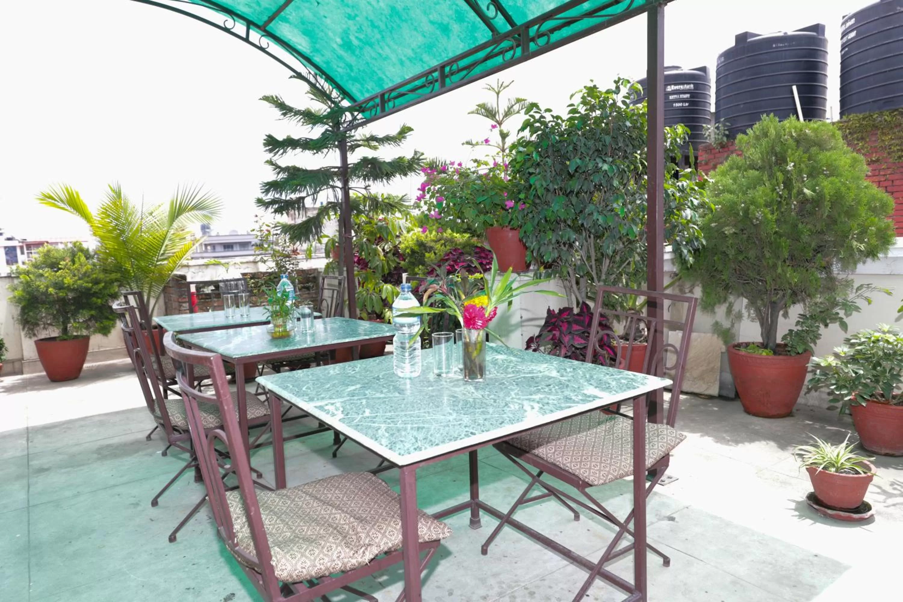 Garden in Hotel Mums Home