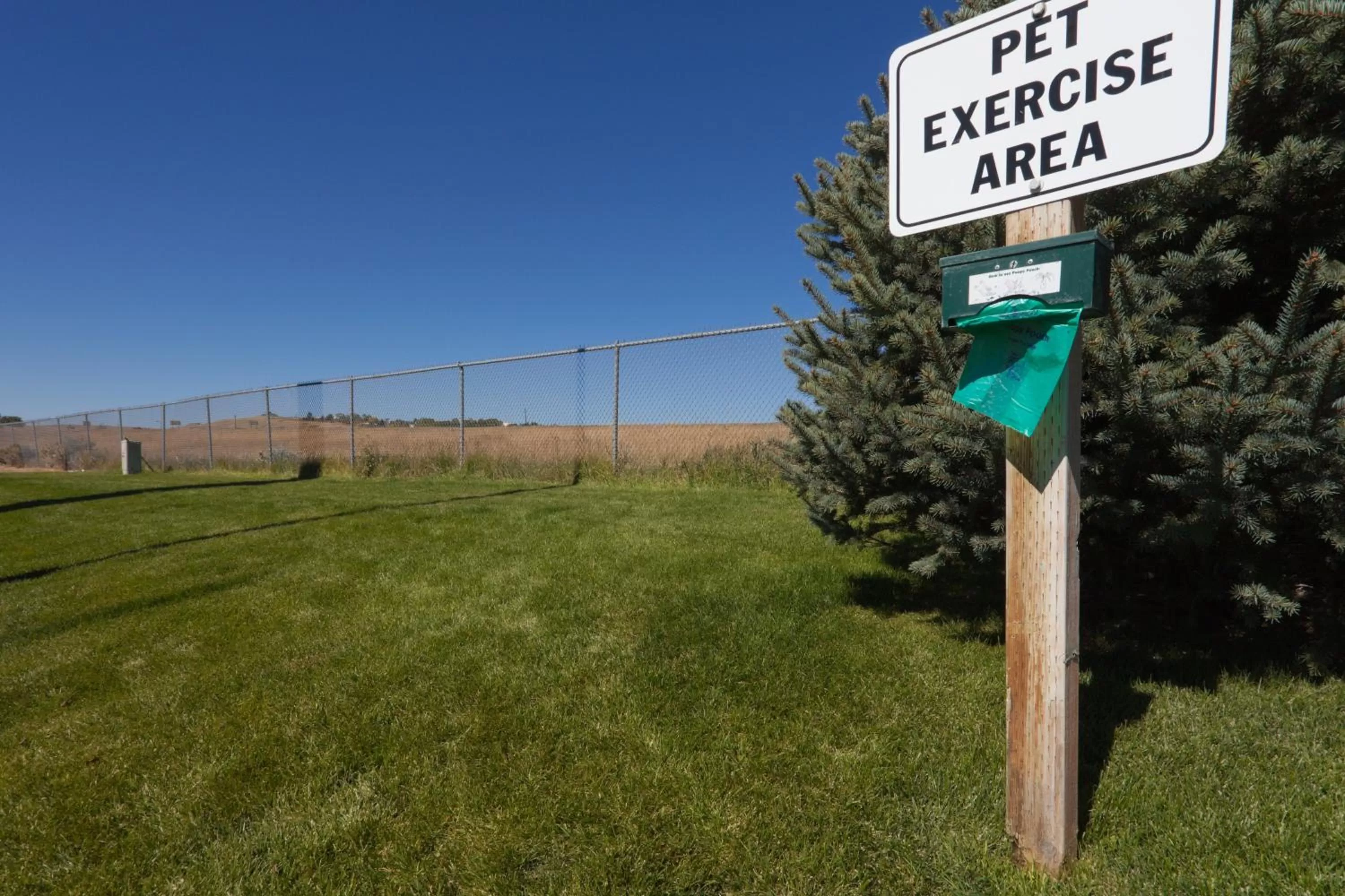 Lobby or reception in Holiday Inn Express Hotel & Suites Gillette by IHG