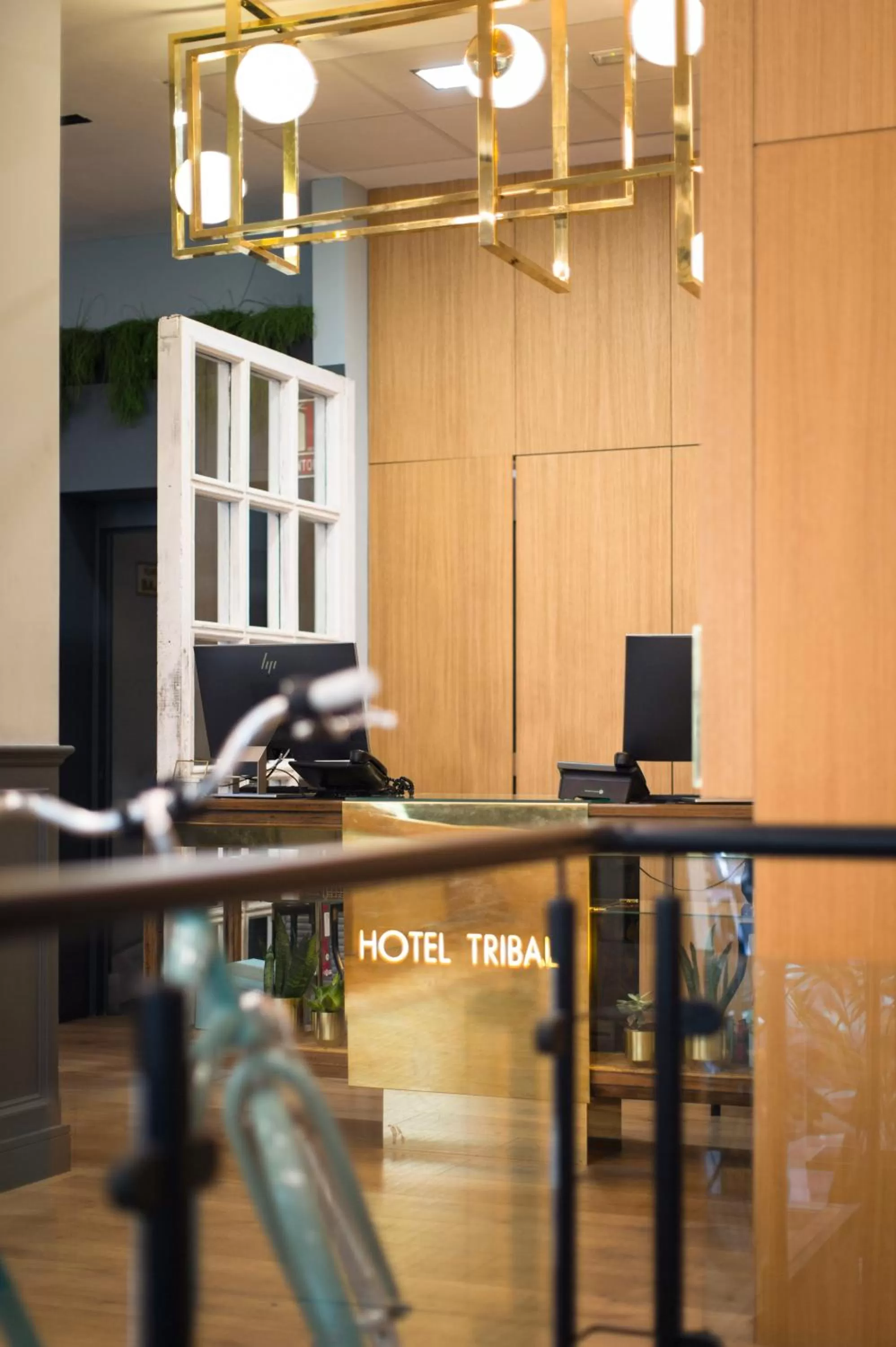 Lobby or reception in Petit Palace Triball