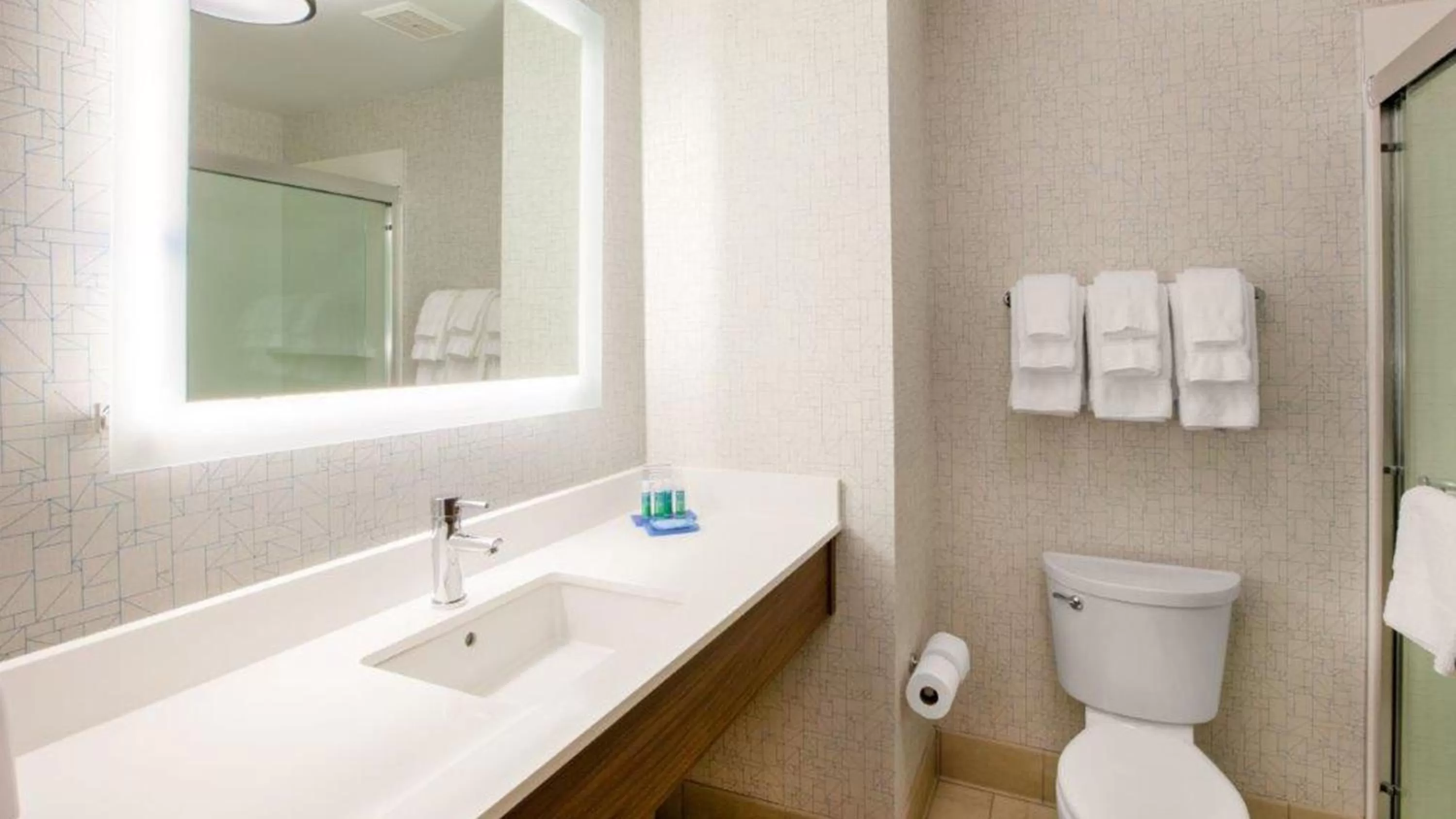 Bathroom in Holiday Inn Express & Suites Walterboro by IHG