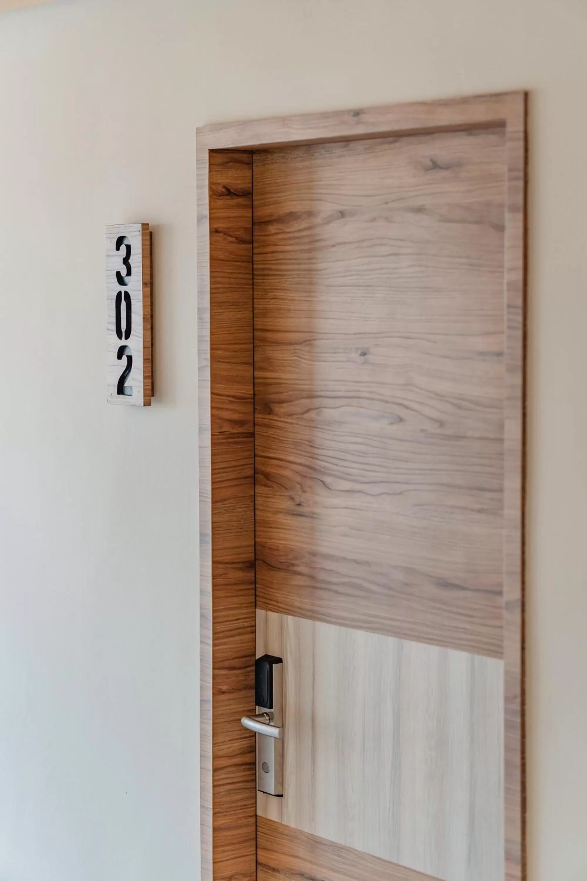 Area and facilities in Hotel Central Merida by Kavia