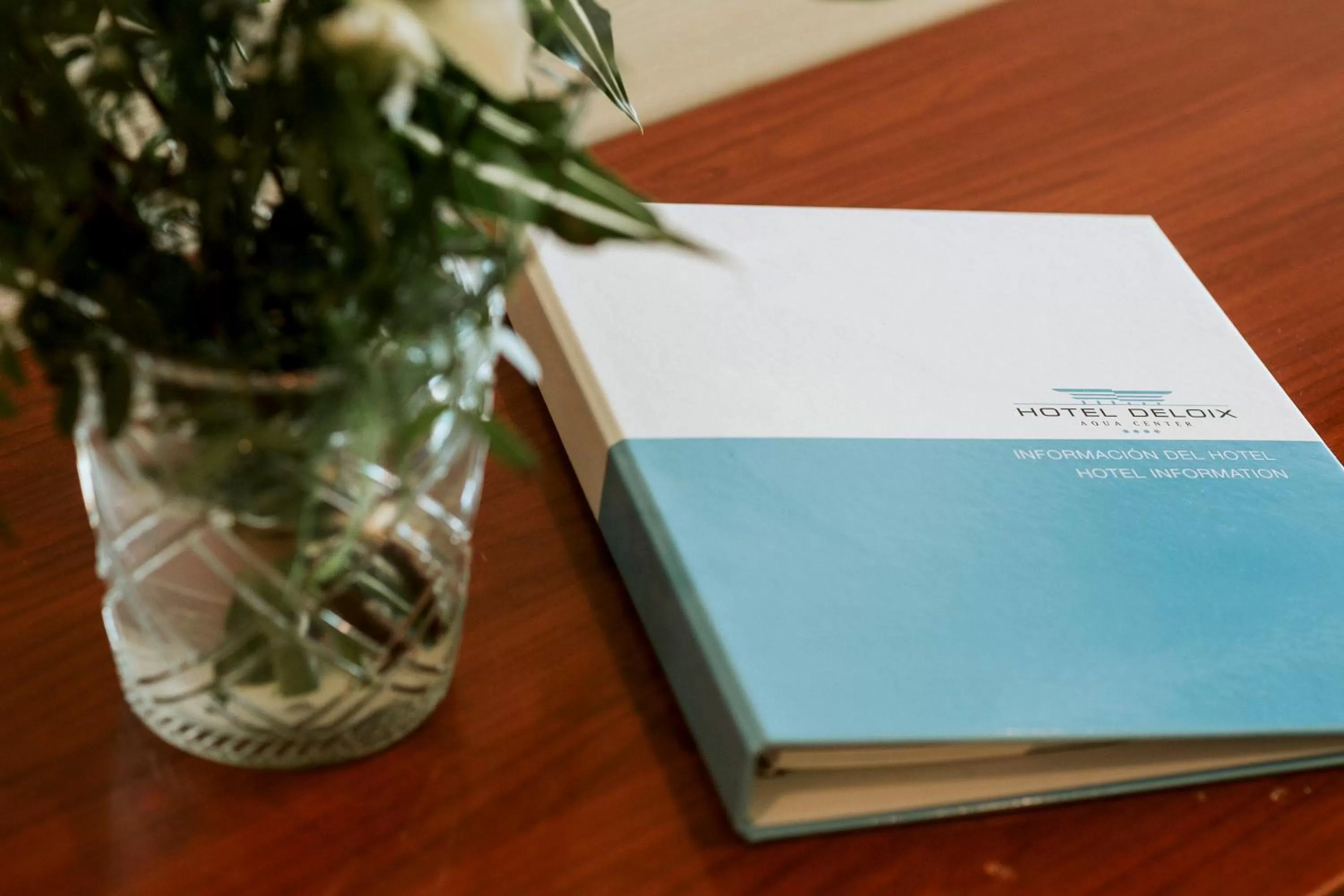 Decorative detail in Hotel Deloix 4* Sup