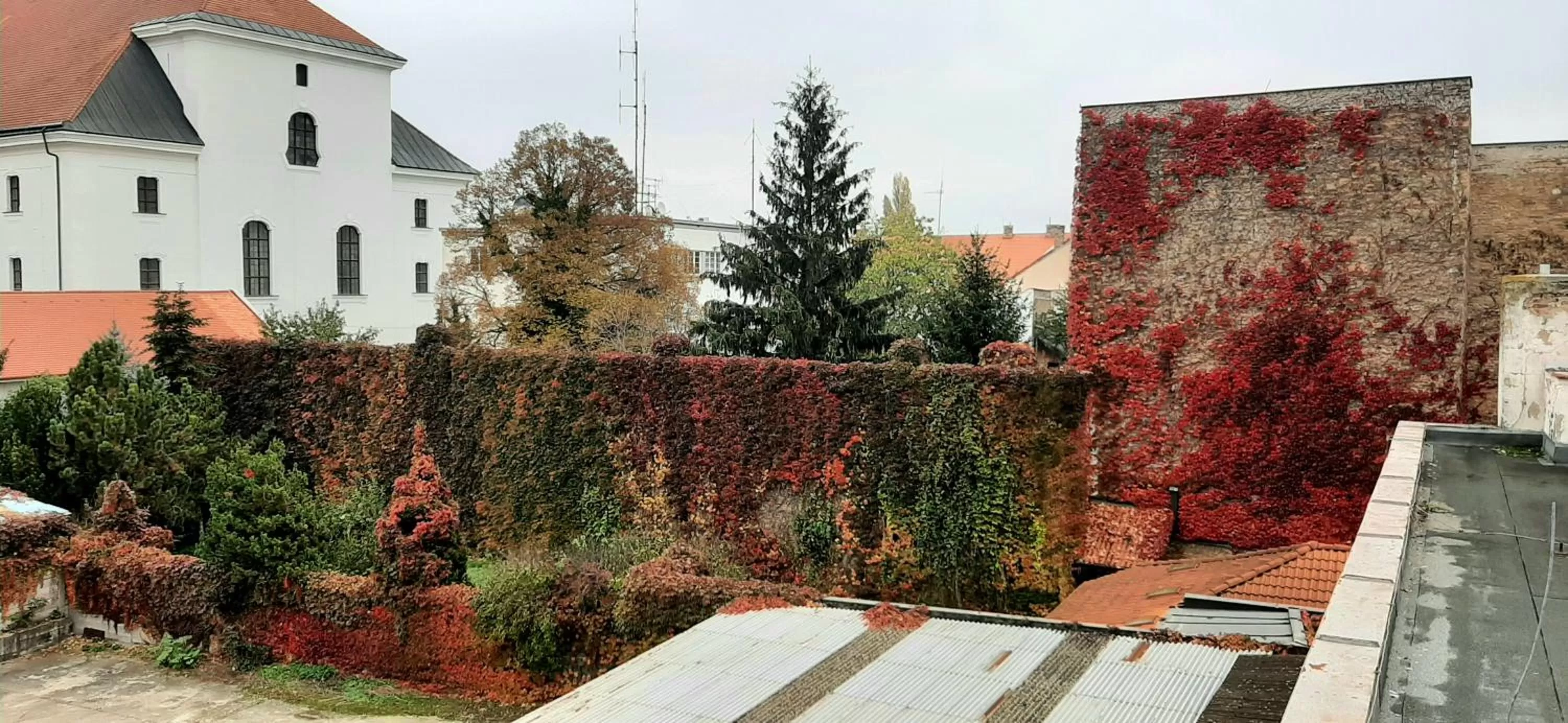 Balcony/Terrace in Hotel Litovel