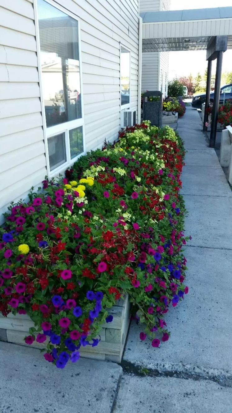 Spring in Super 8 by Wyndham Yellowknife