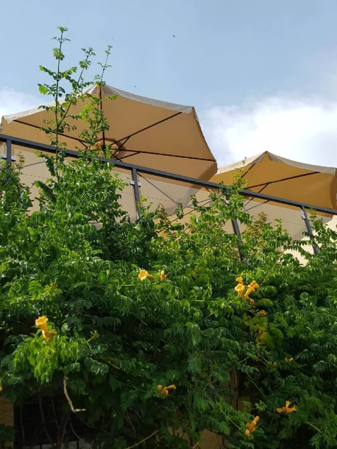 Garden view in Zajazd Karczma Zagłoba