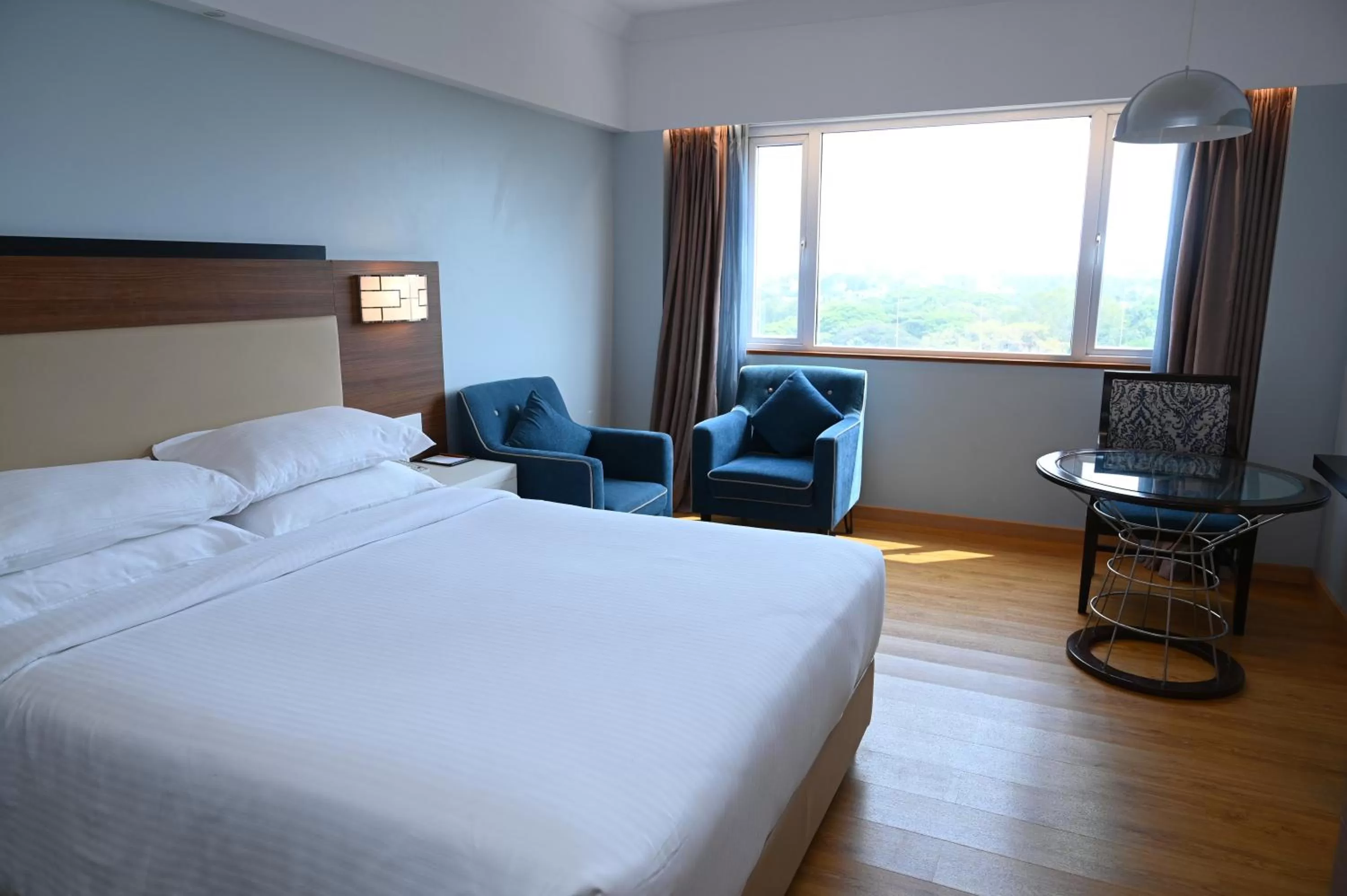 Bed in Manjeera Sarovar Premiere