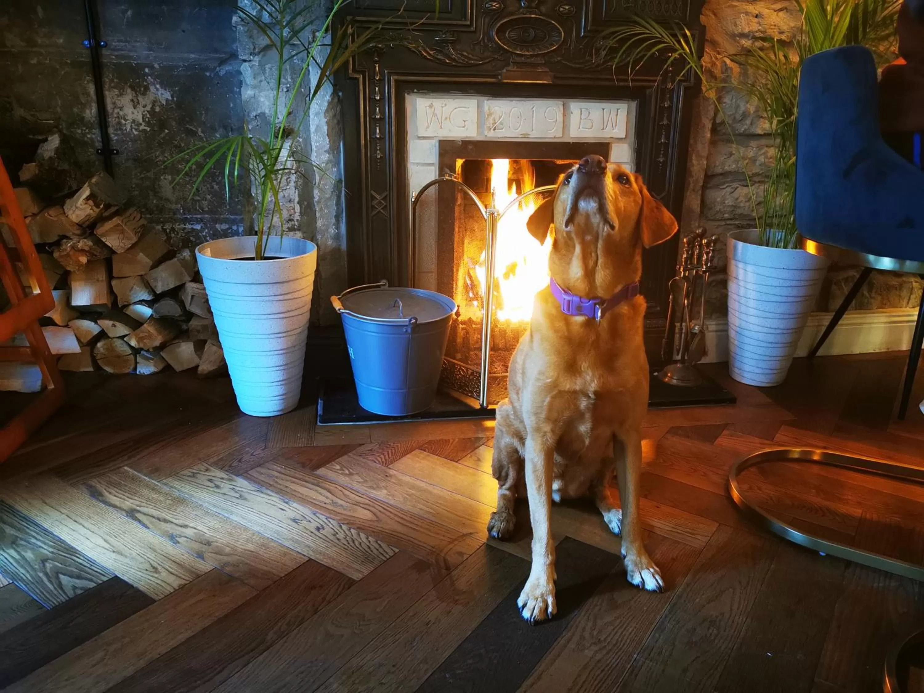 Restaurant/places to eat in The Balerno Inn