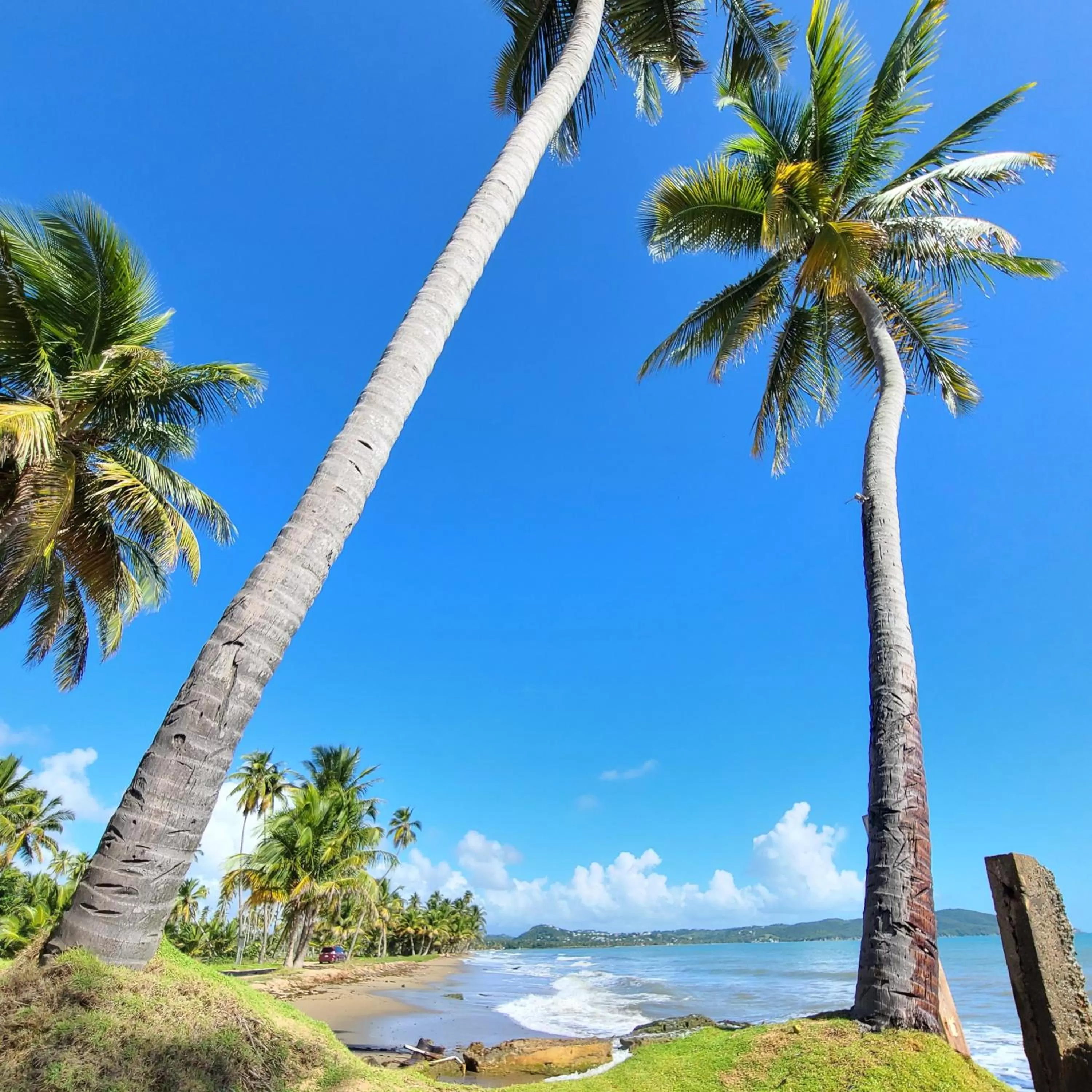 Natural landscape in Parador Palmas de Lucia