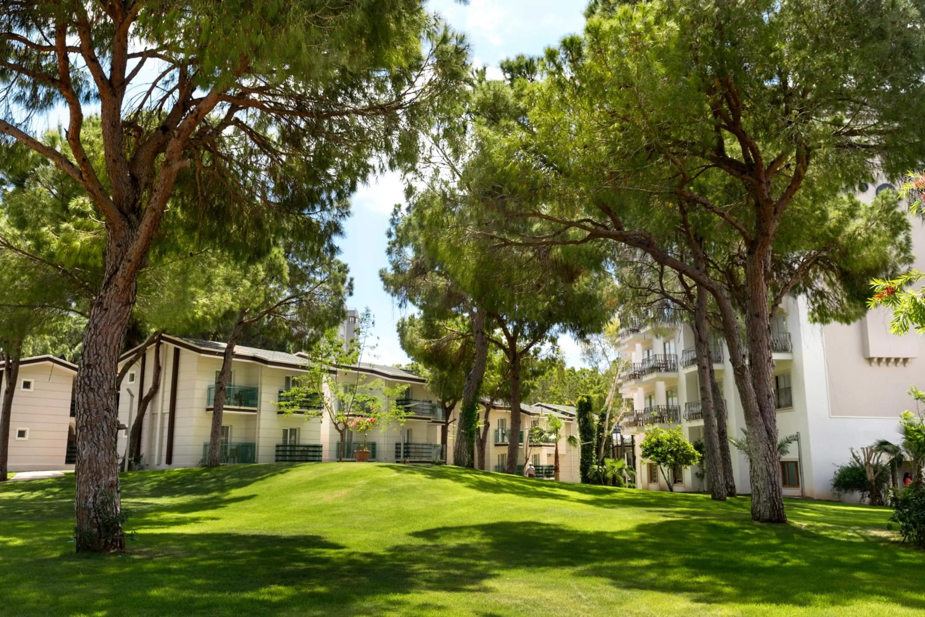 Garden in TUI MAGIC LIFE Masmavi