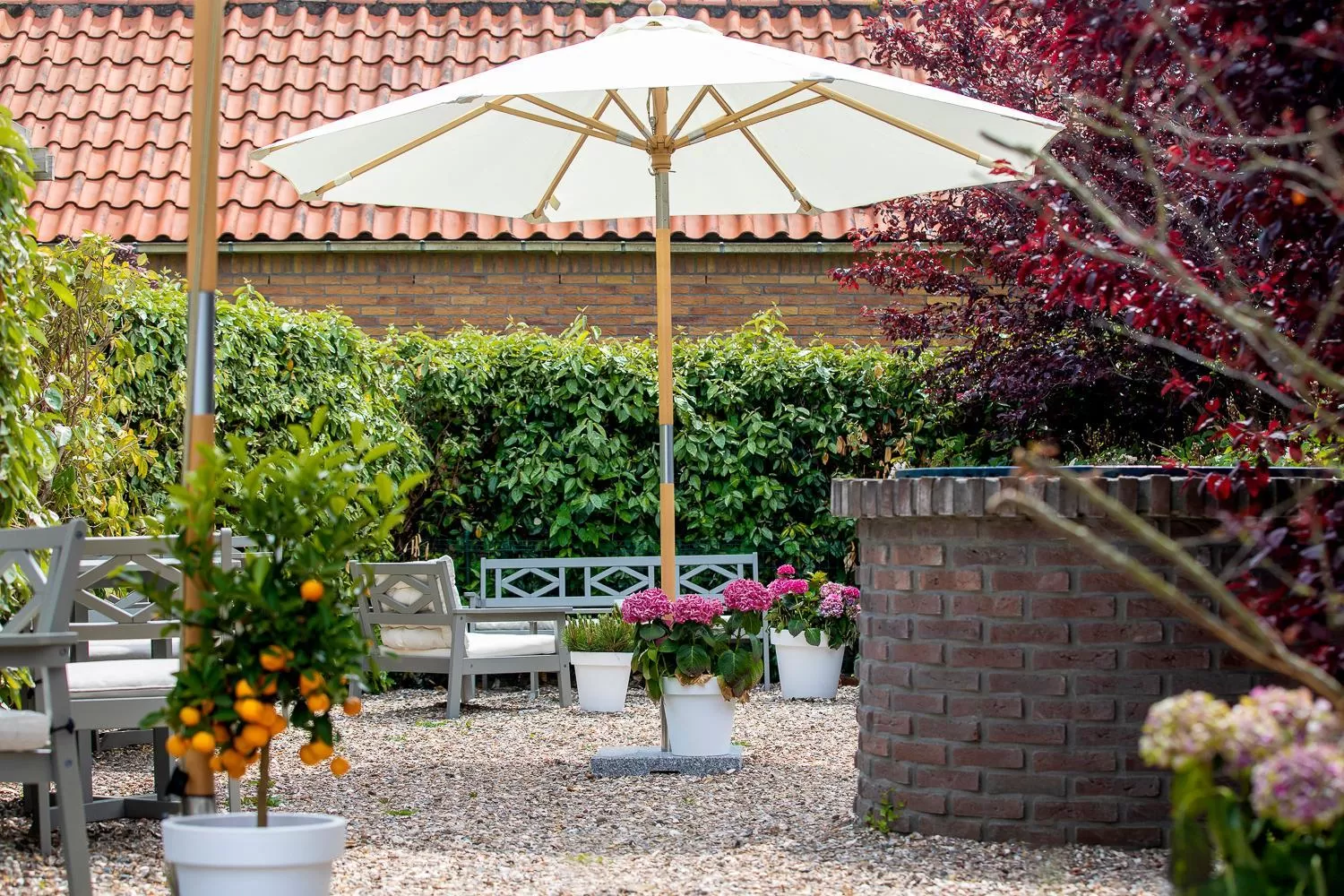 Patio in B&B Hotel Villa Vida