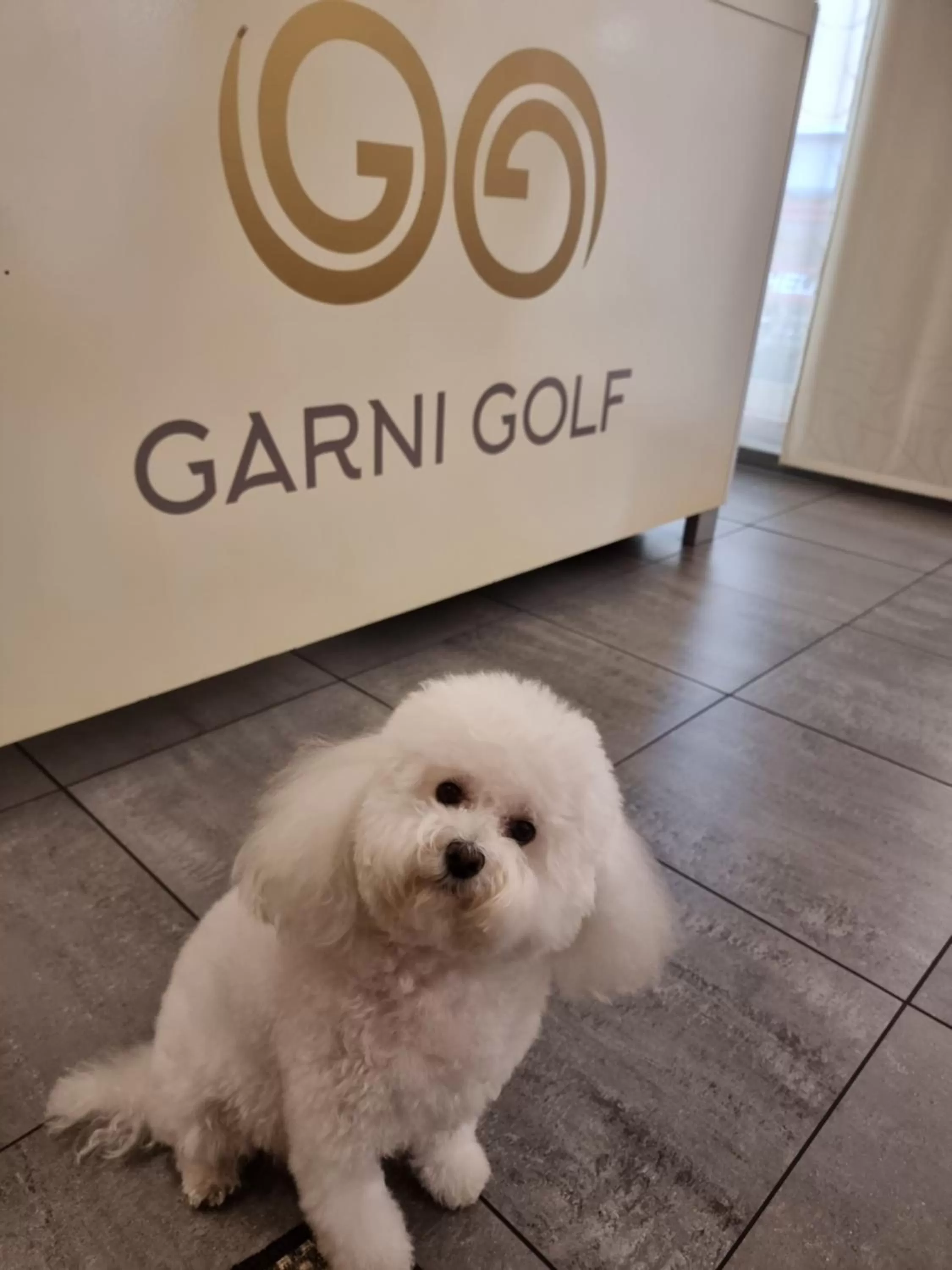 Animals in Hotel Garni Golf