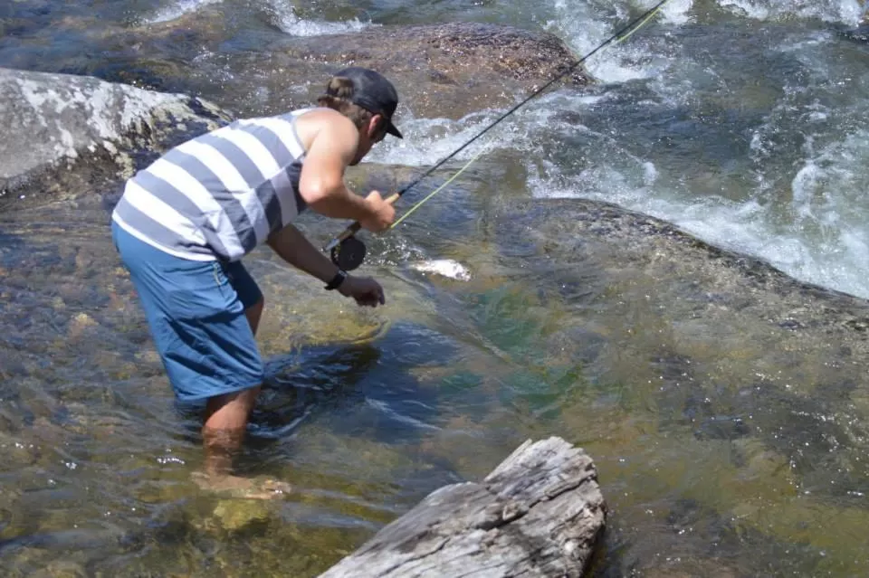 Spring in High Country Motel and Cabins