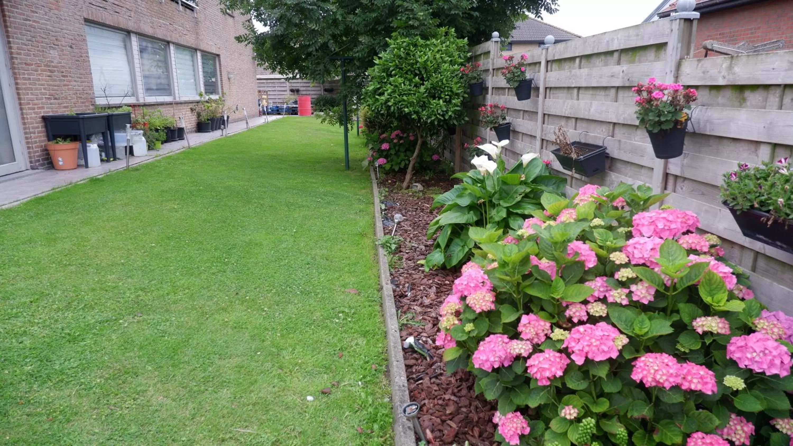 Garden view in Chambre d'hôte Blankenberge