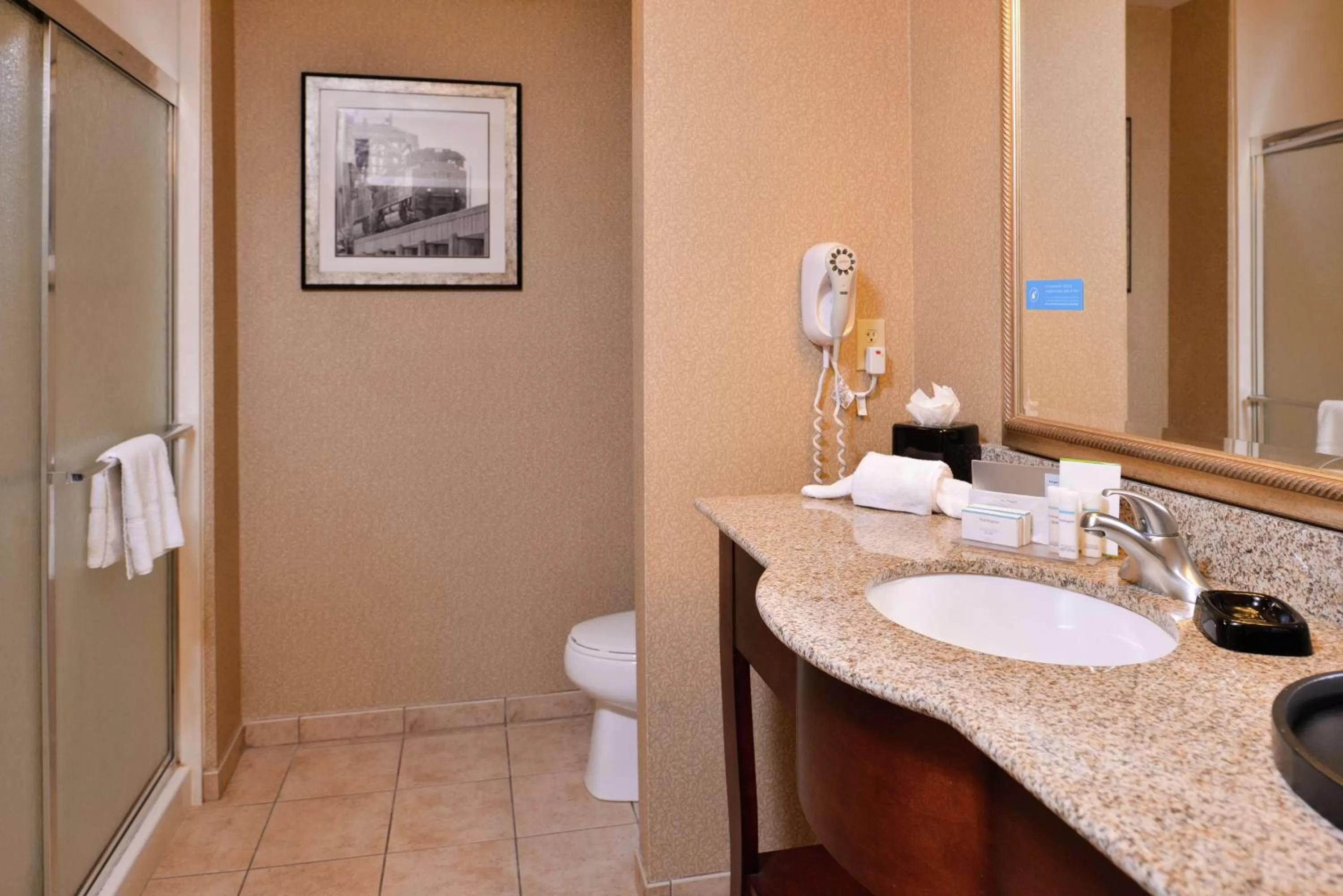 Bathroom in Hampton Inn Jackson-College Avenue