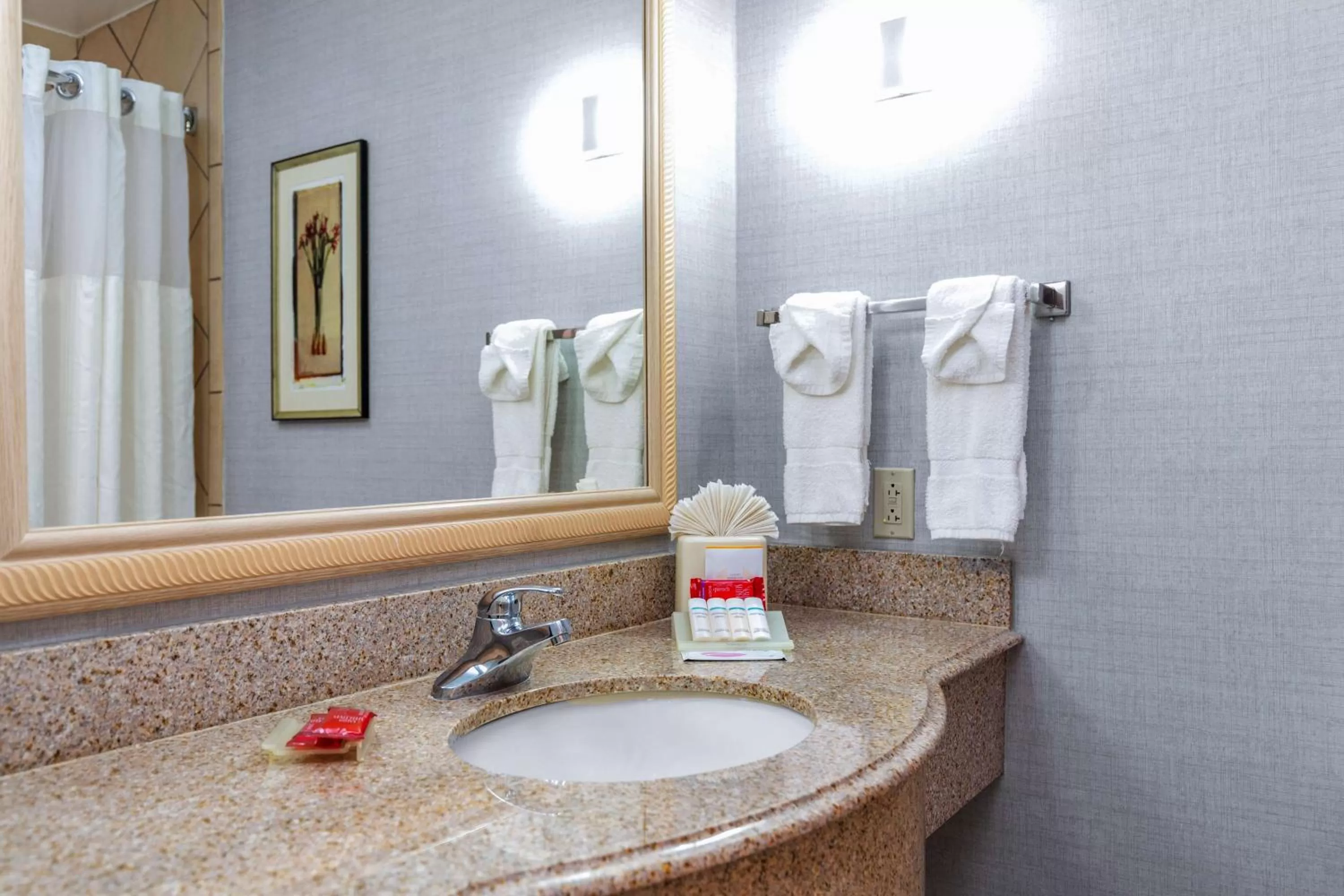 Bathroom in Hilton Garden Inn Starkville