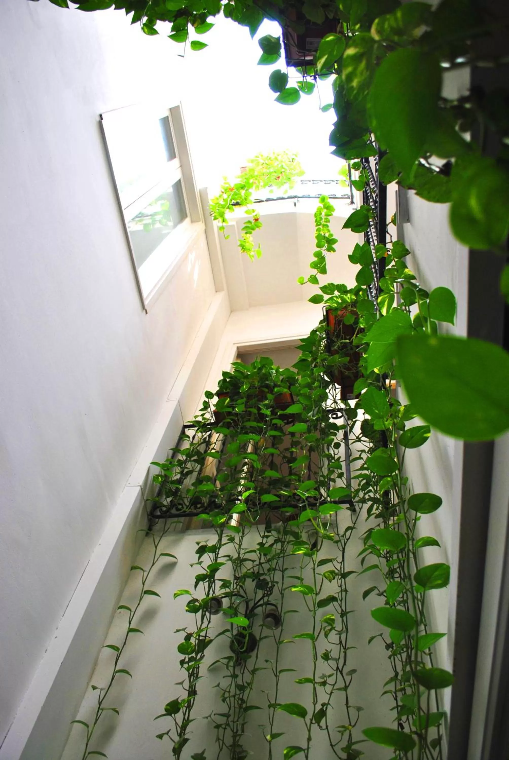 Decorative detail in Ai Tintori