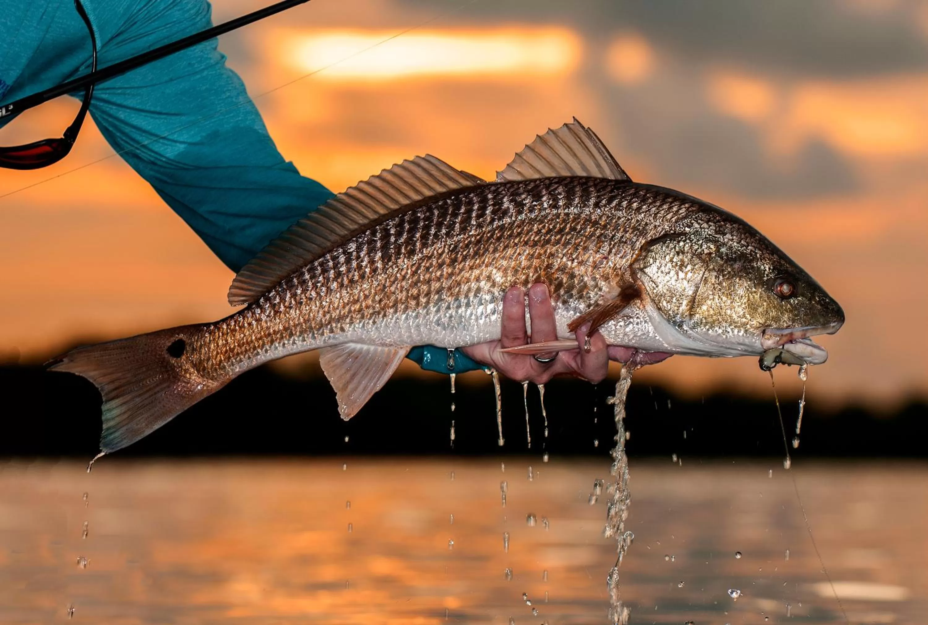 Fishing in Black Dolphin Inn