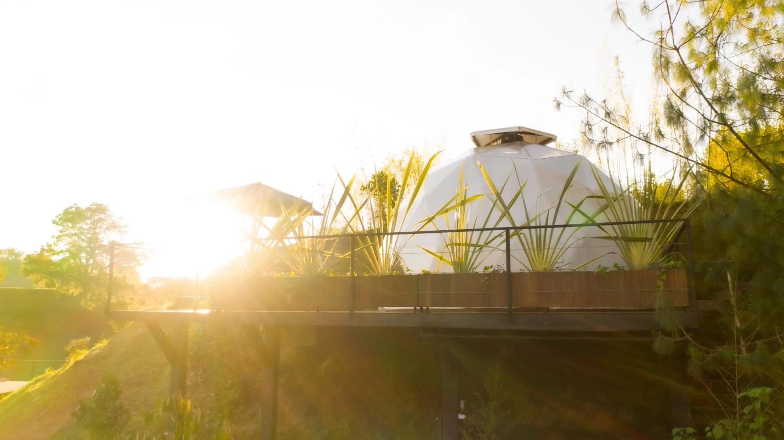 Natural landscape in Domus Glamping Guatapé