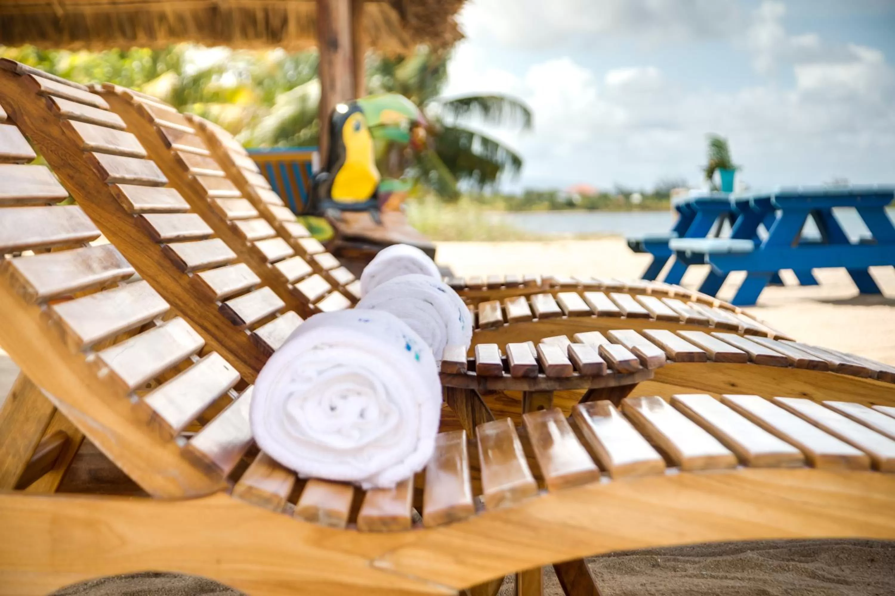 Beach in Ocean Breeze