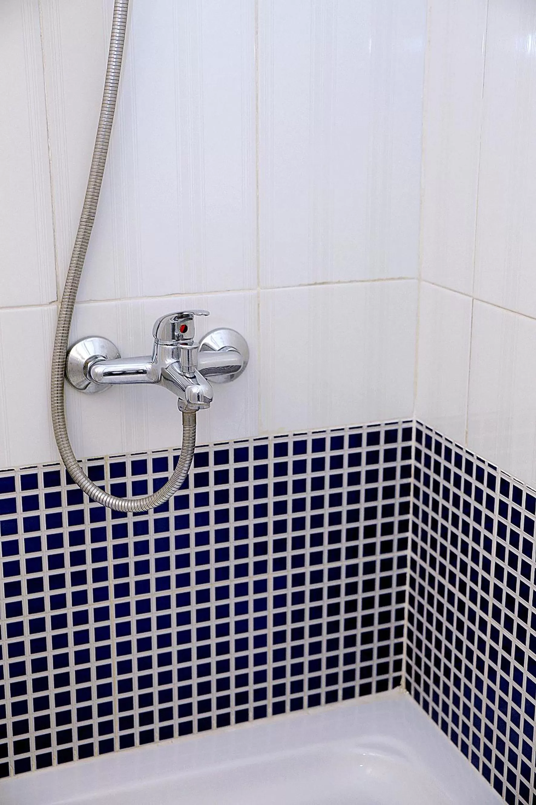 Bathroom in Bed & Breakfast Naranjo