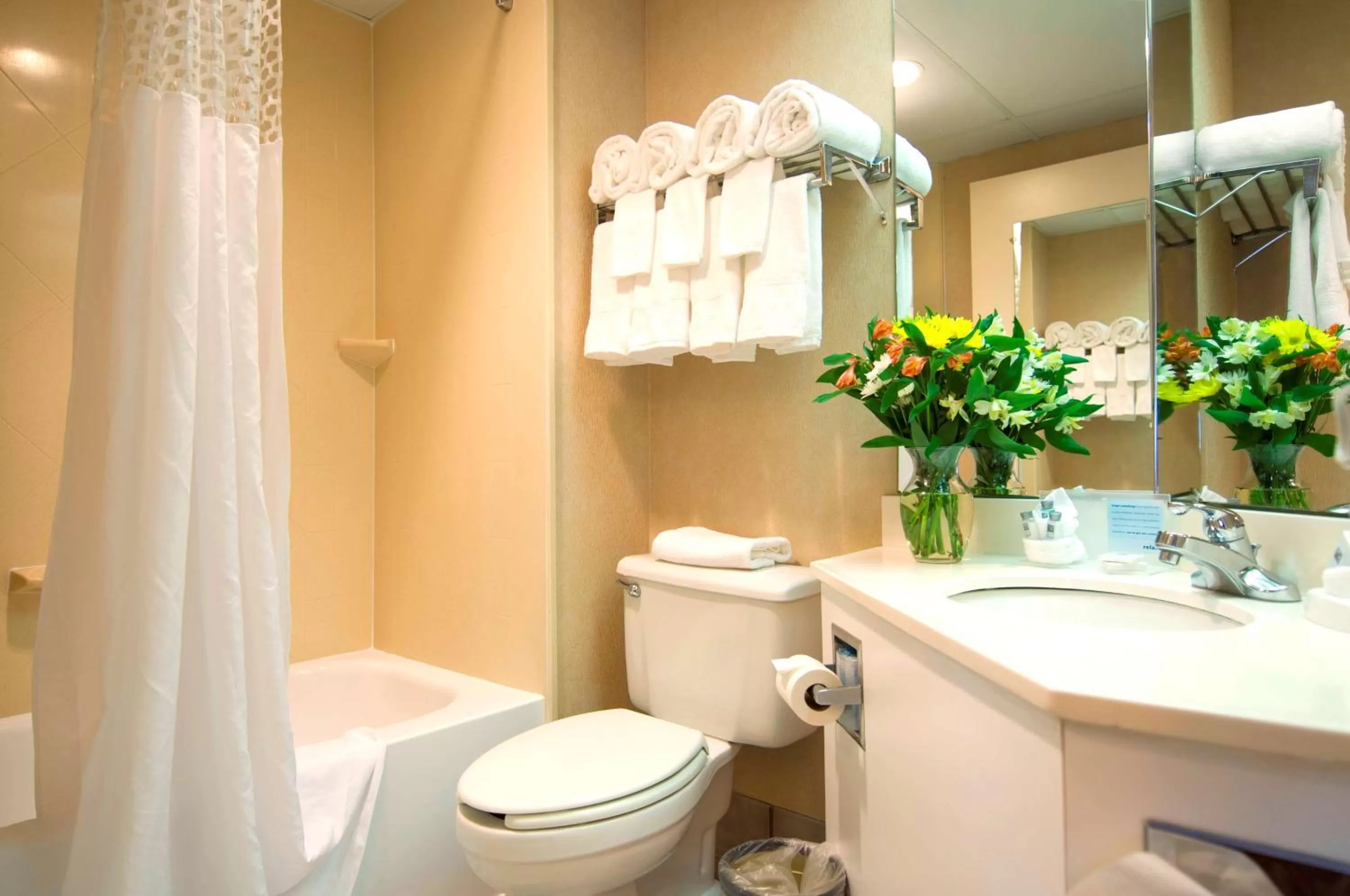 Bathroom in Hampton Inn Downingtown/Exton