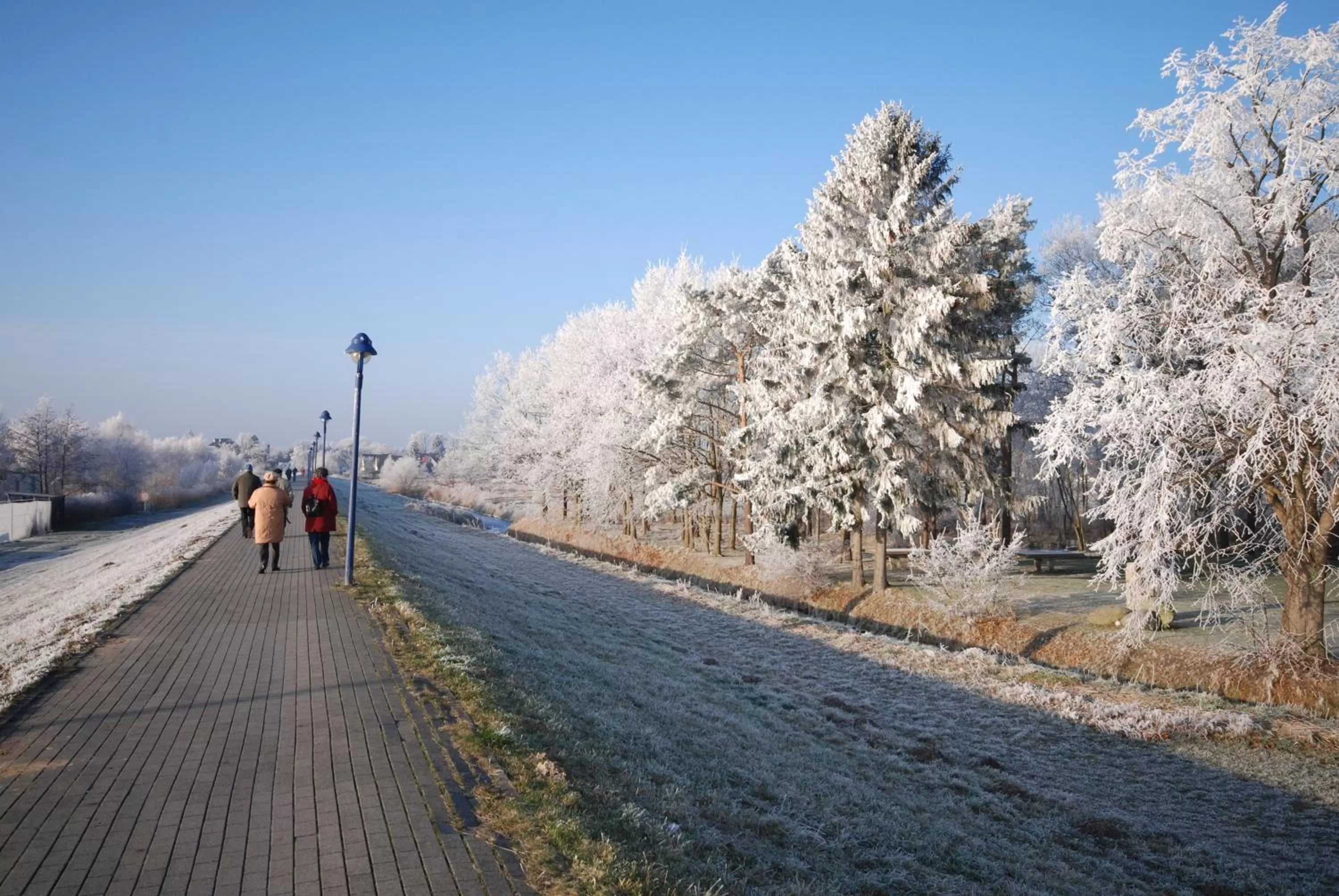 View (from property/room) in Hotel-Marks-Garni