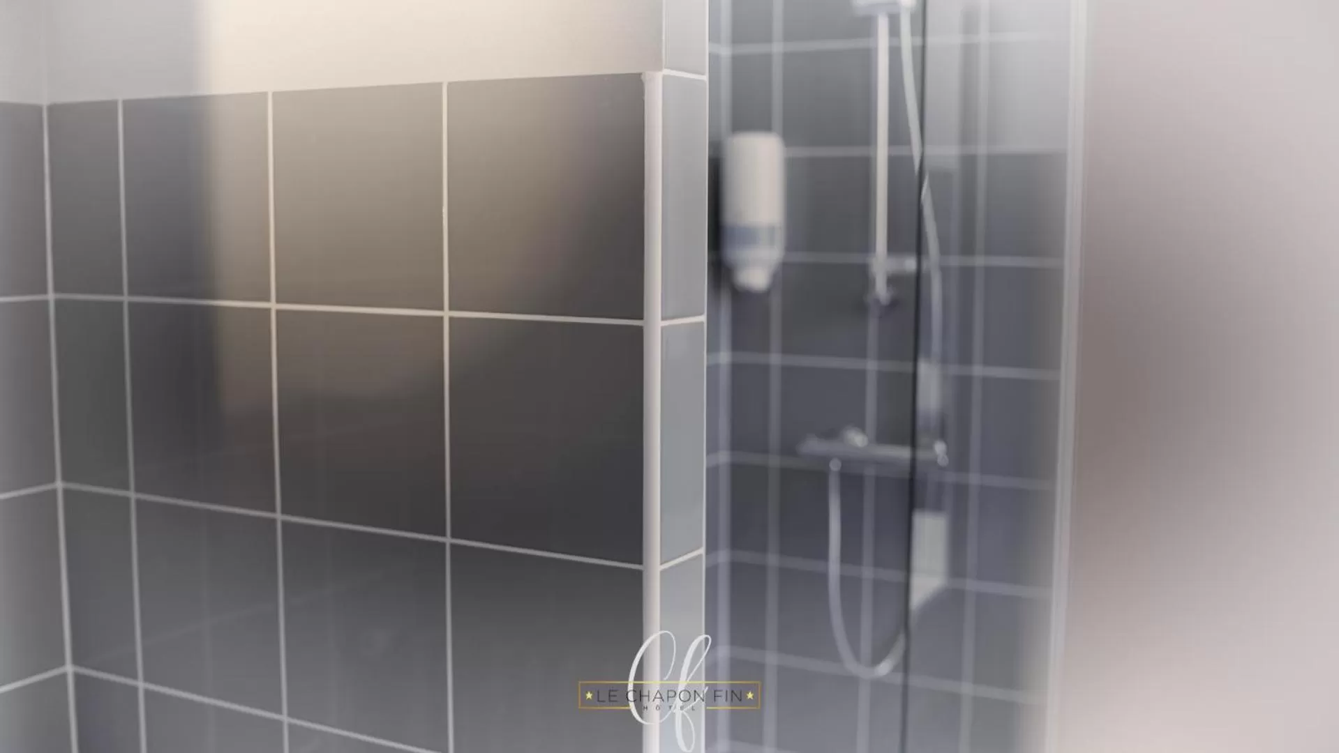 Shower in HÔTEL LE CHAPON FIN