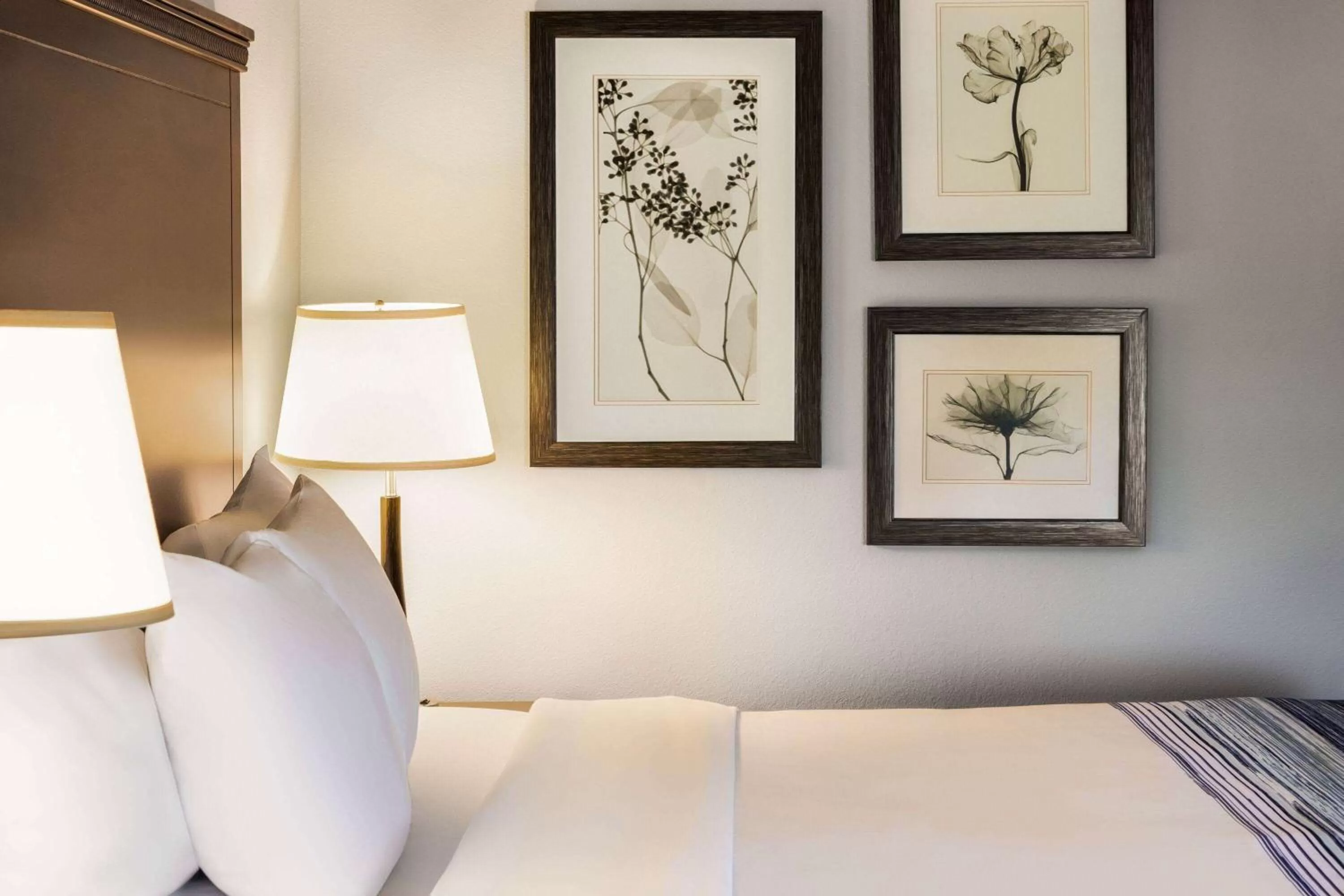 Photo of the whole room, Bed in AmericInn by Wyndham Madison West