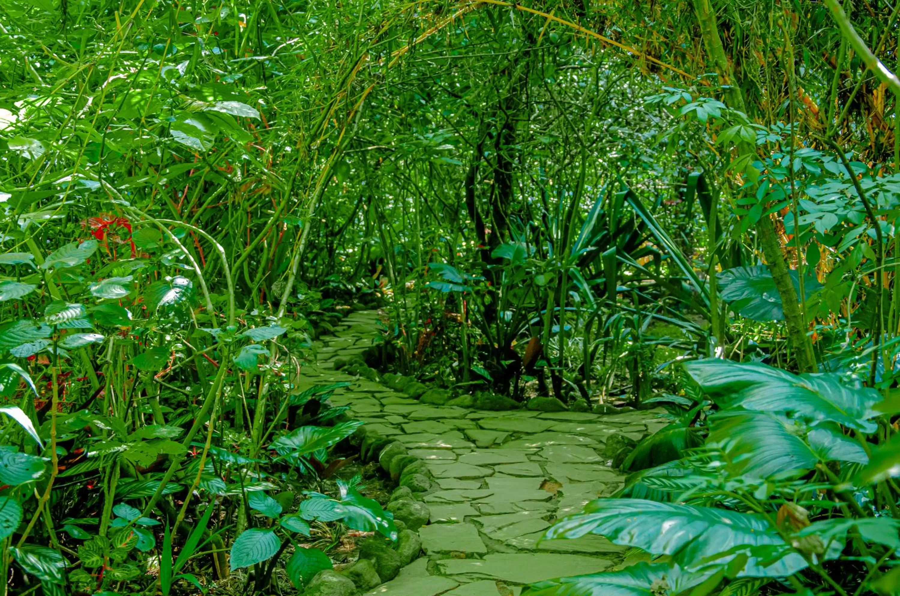 Garden in Fravan Eco Resort By Apogee