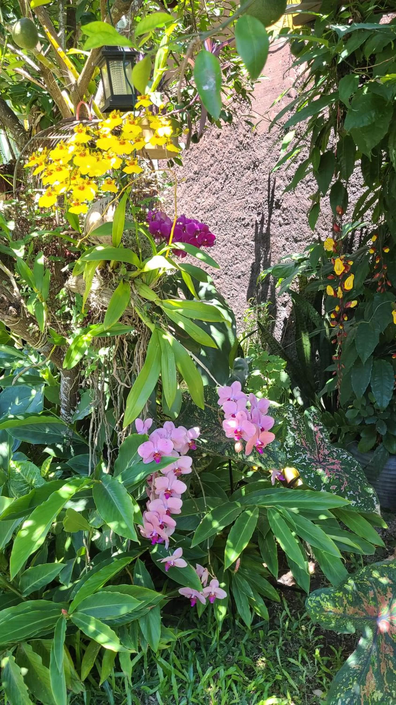 Pousada e SPA Shiva São Sebastião 200mts da praia