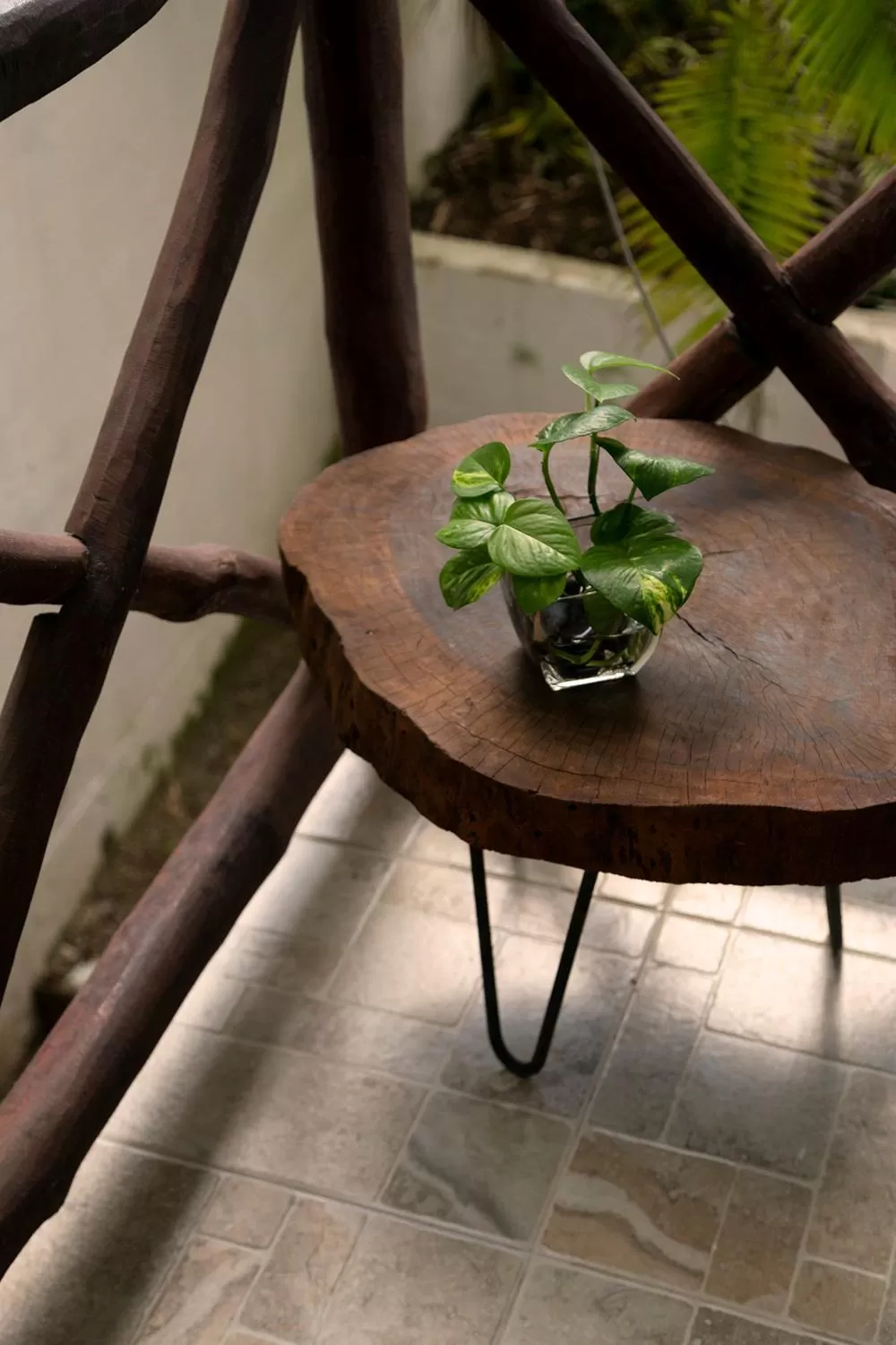 Patio in Hotel Amar Inn