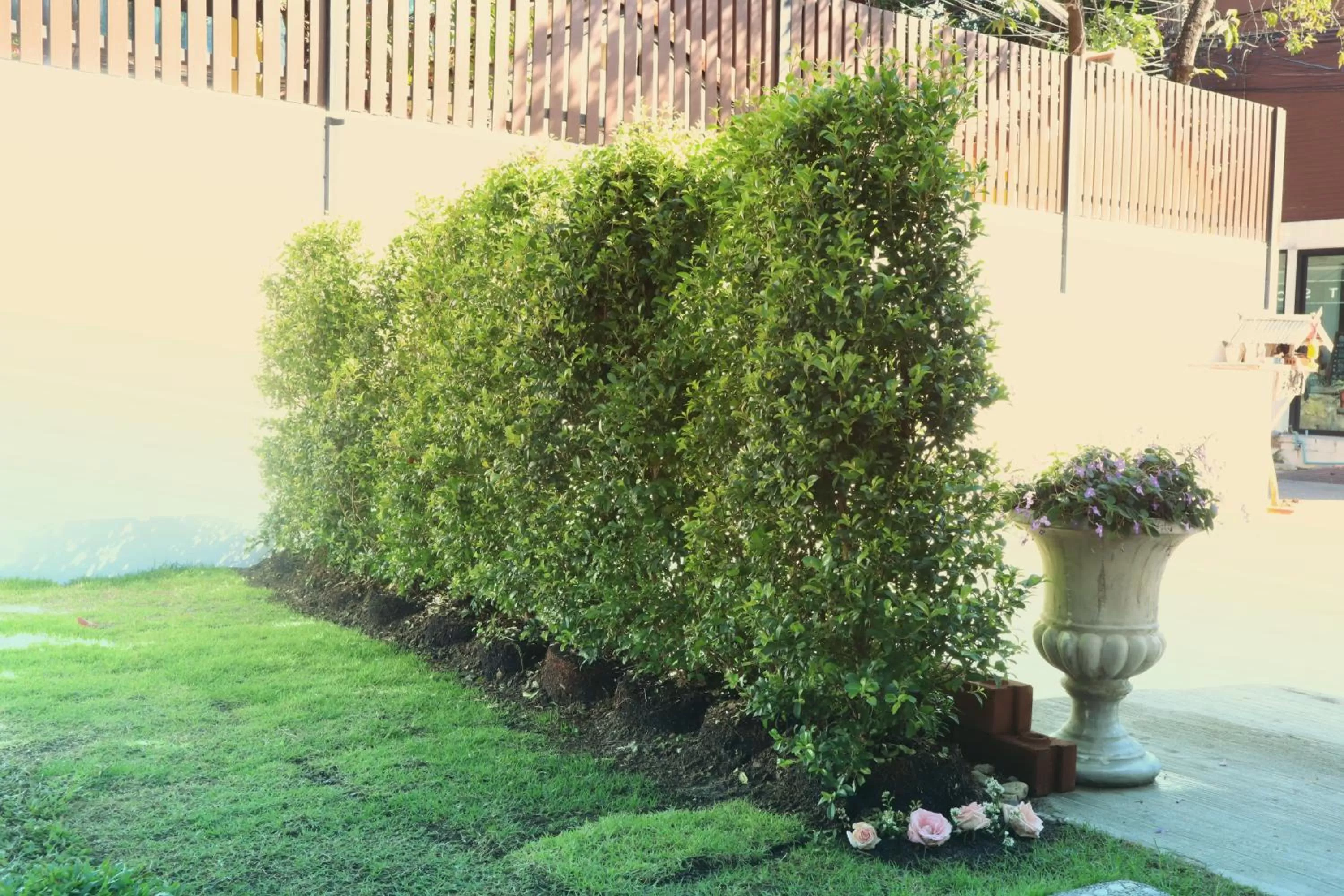 Garden in Chiang Mai Heritage House