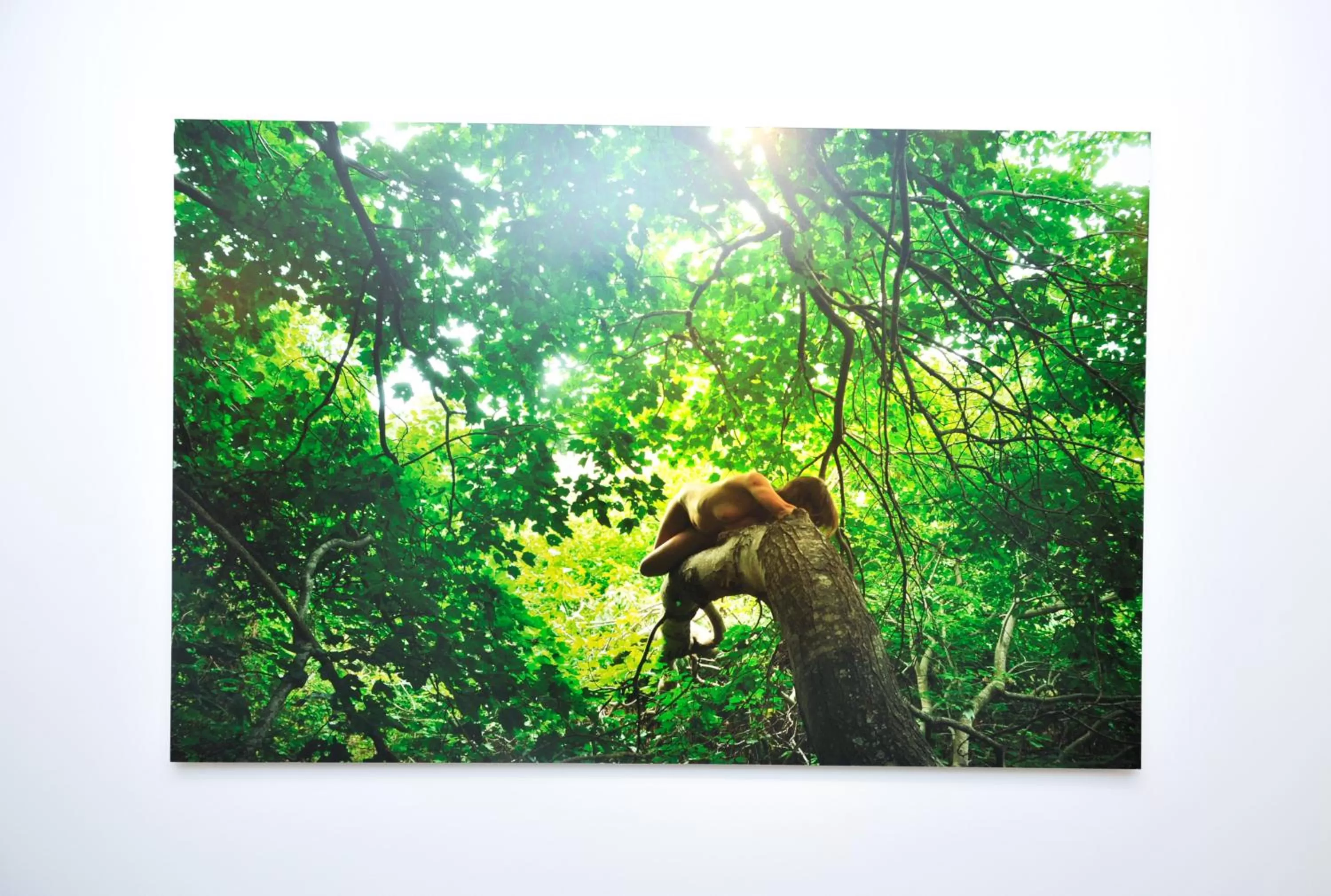 Decorative detail in HGU New York