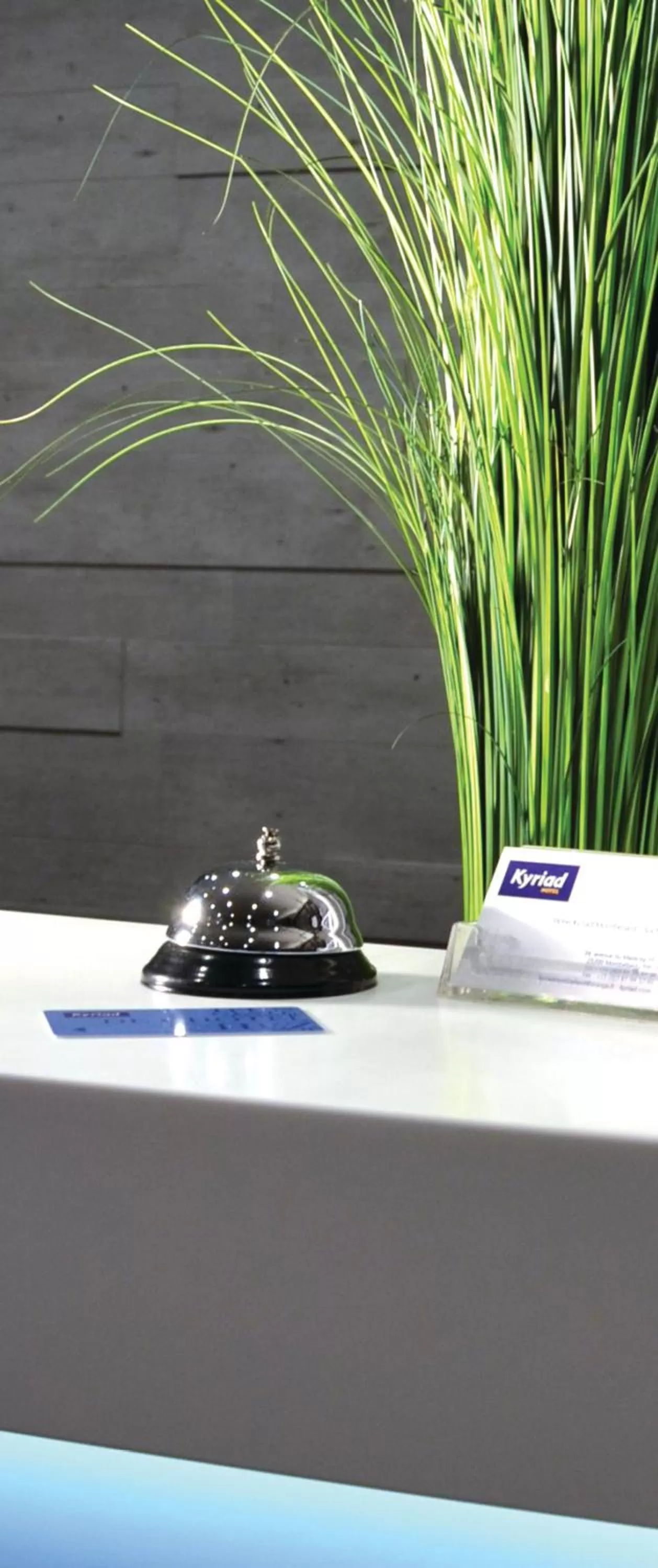 Decorative detail in Kyriad Montbeliard Sochaux