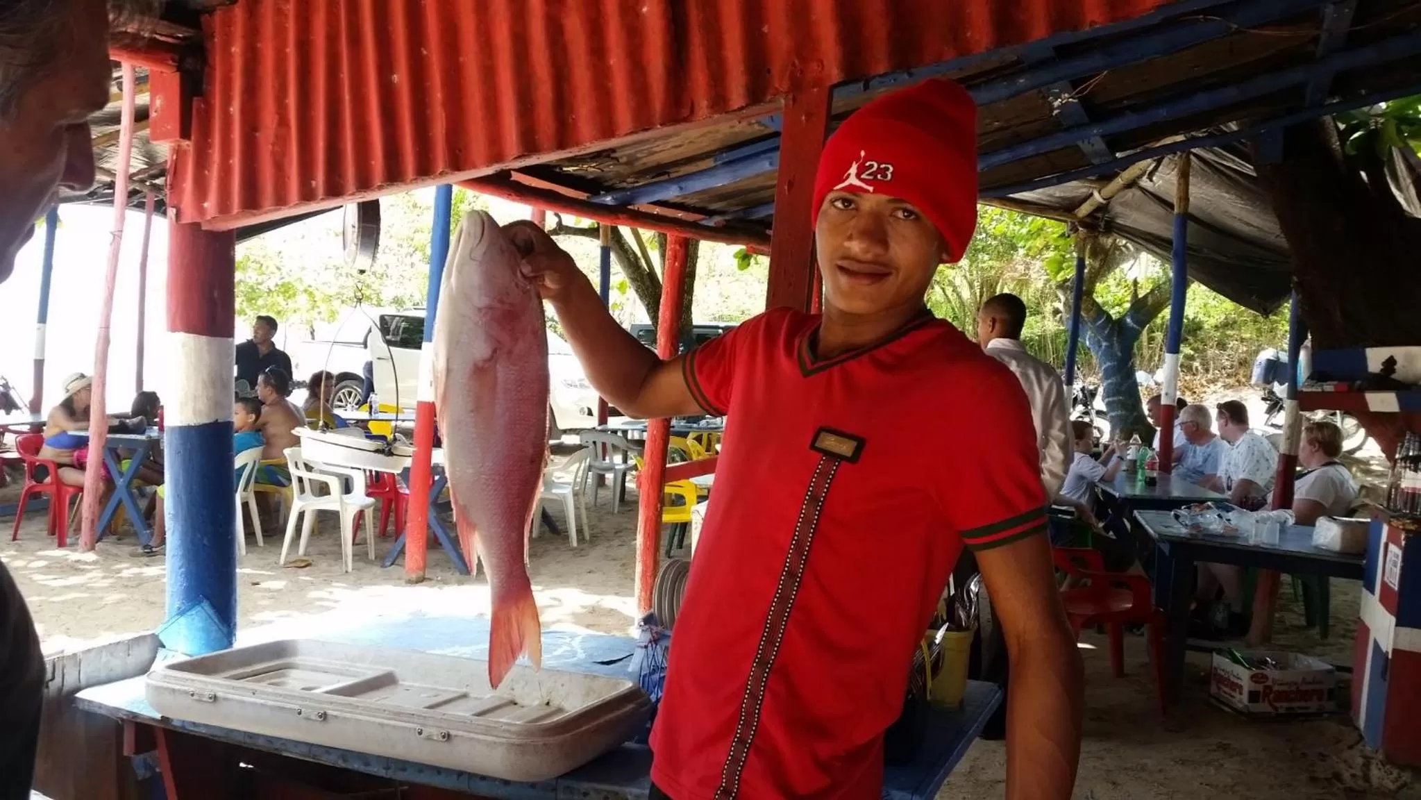 Beach in Bavaro Green