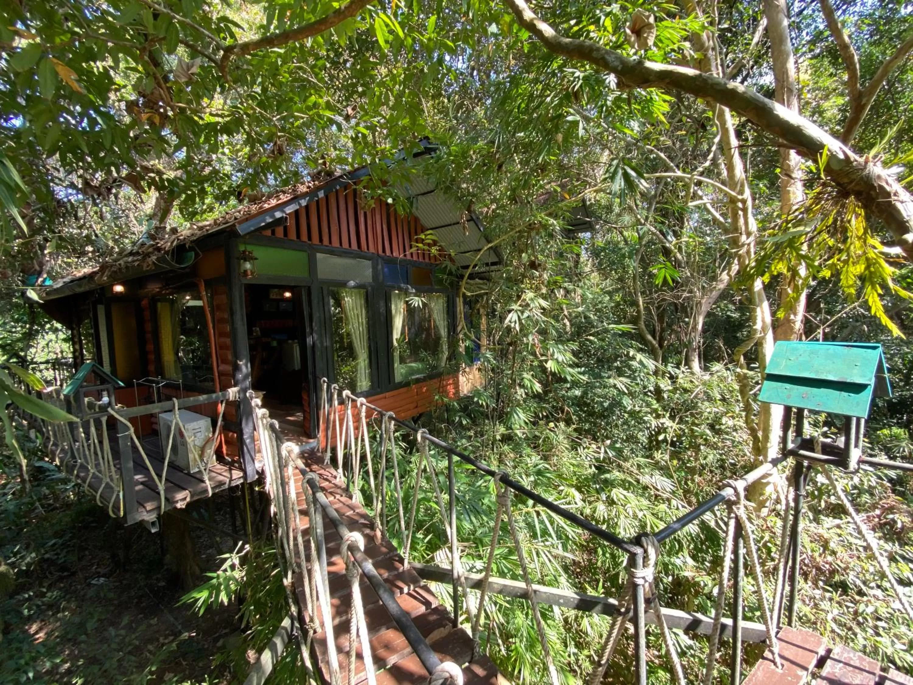 Property building in Khao Sok Tree House Resort