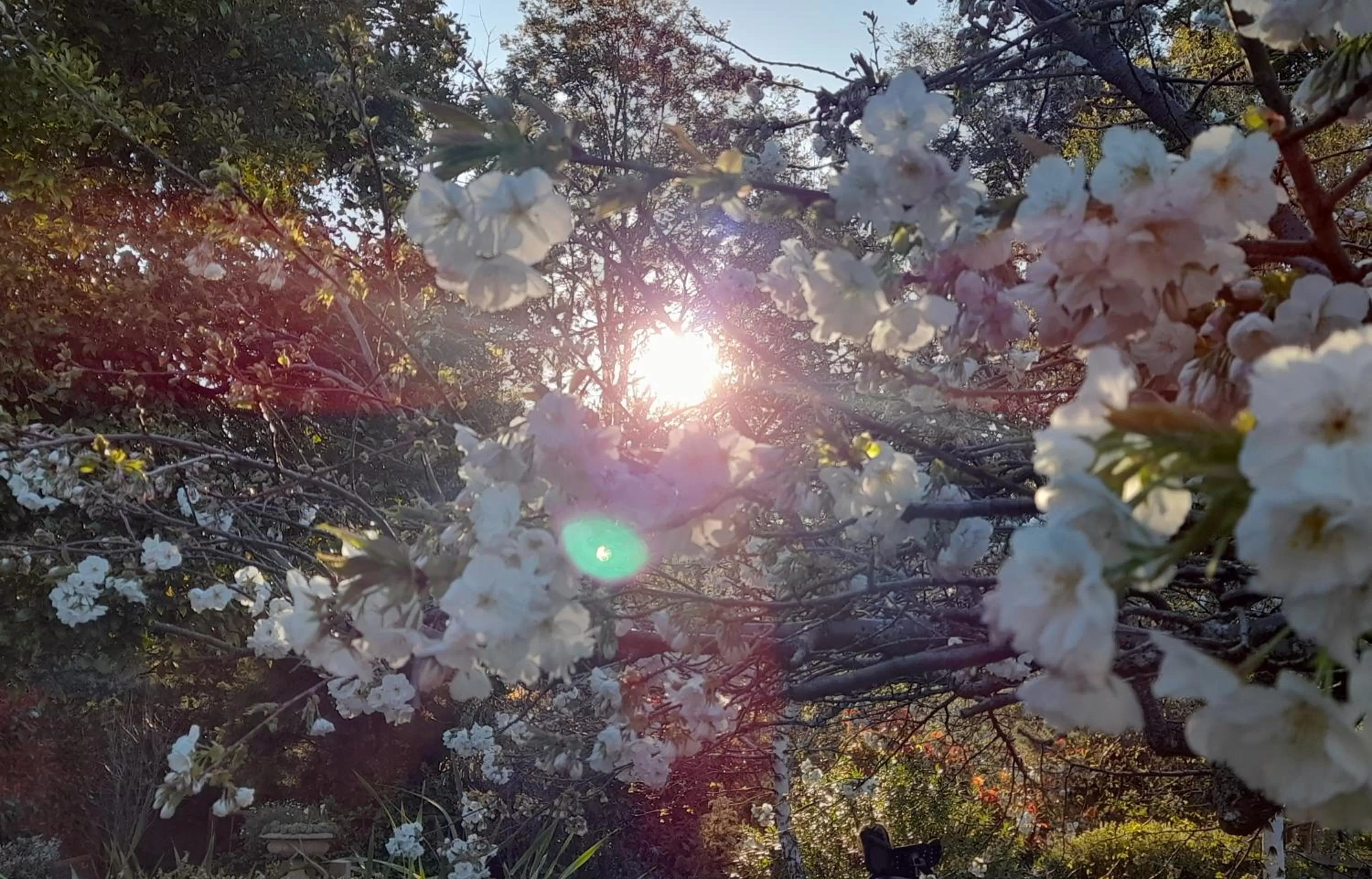 Hillside Bed and Breakfast