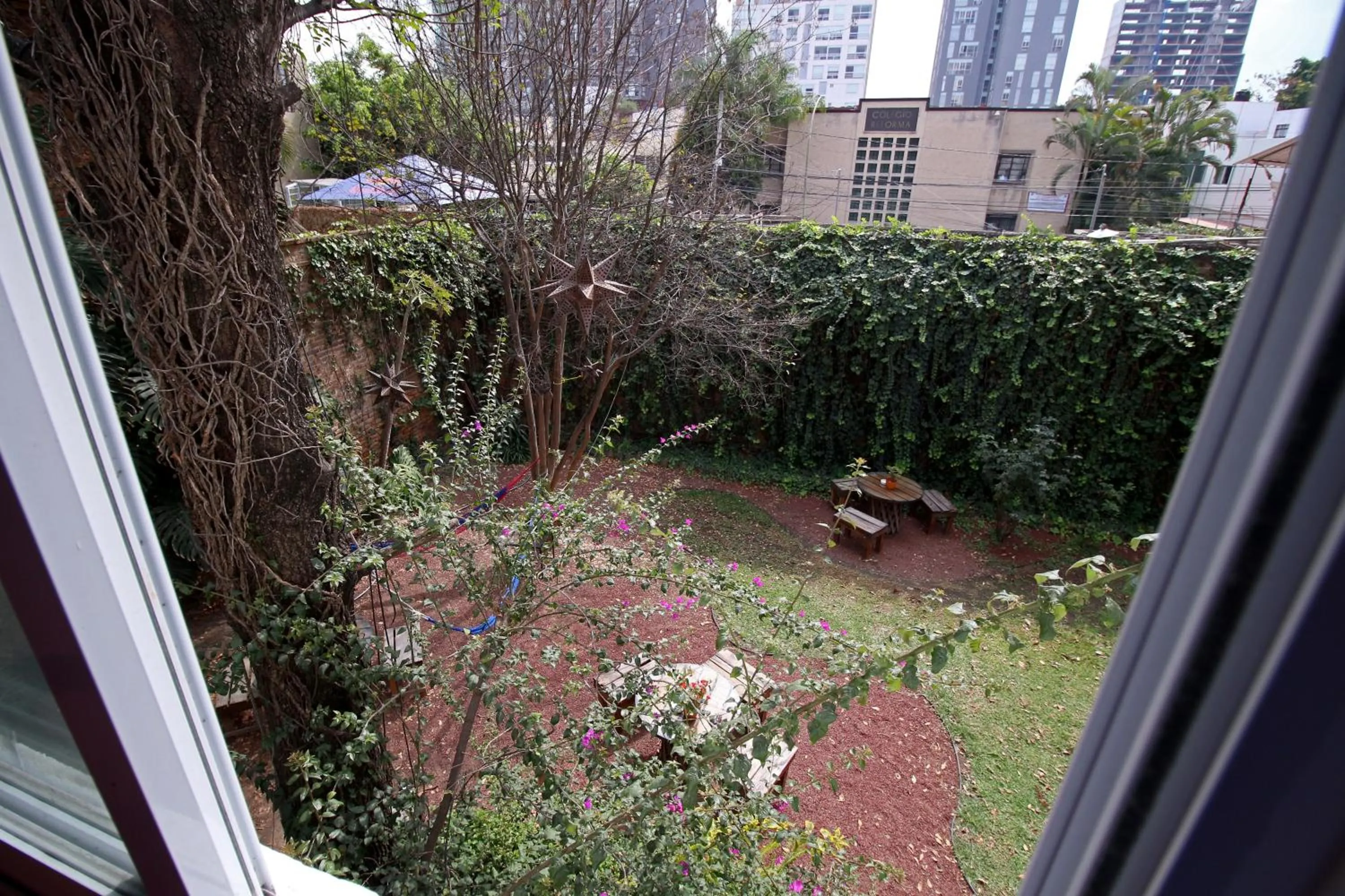 Garden view in Hostel Hospedarte Chapultepec