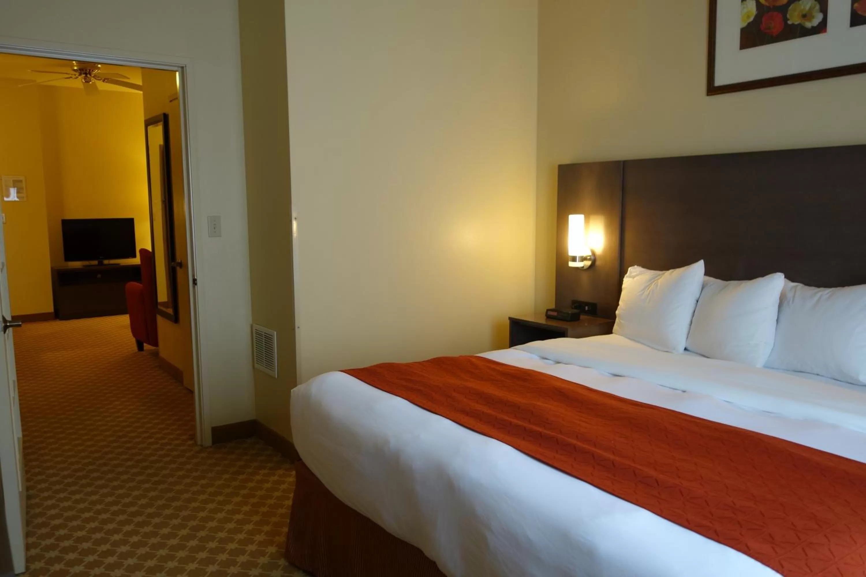 One-Bedroom King Suite - Non-Smoking in Country Inn & Suites by Radisson, Clinton, IA