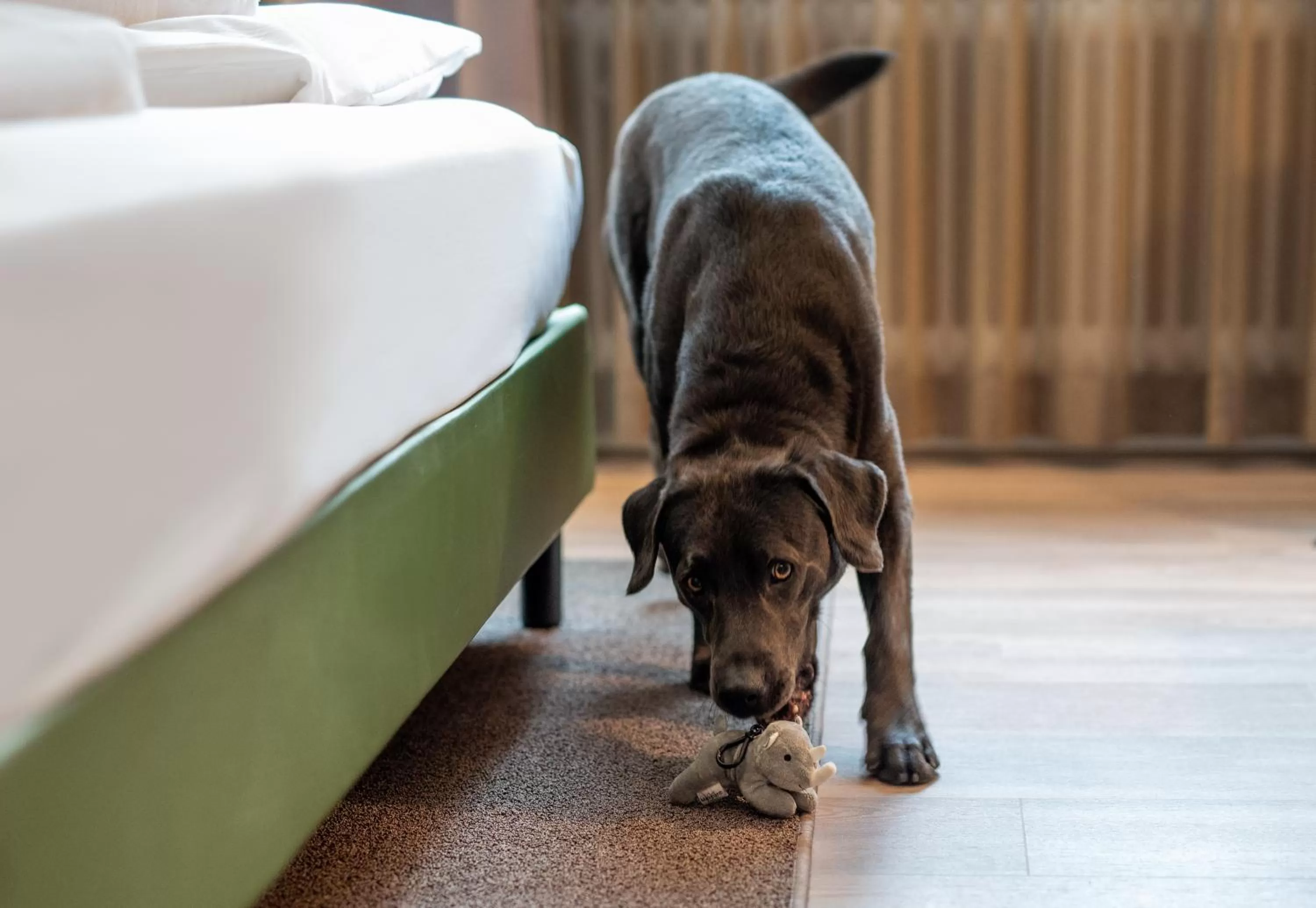 Decorative detail in Congress Hotel Mercure Nürnberg an der Messe