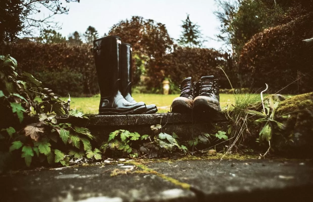 Garden view in Queensberry House