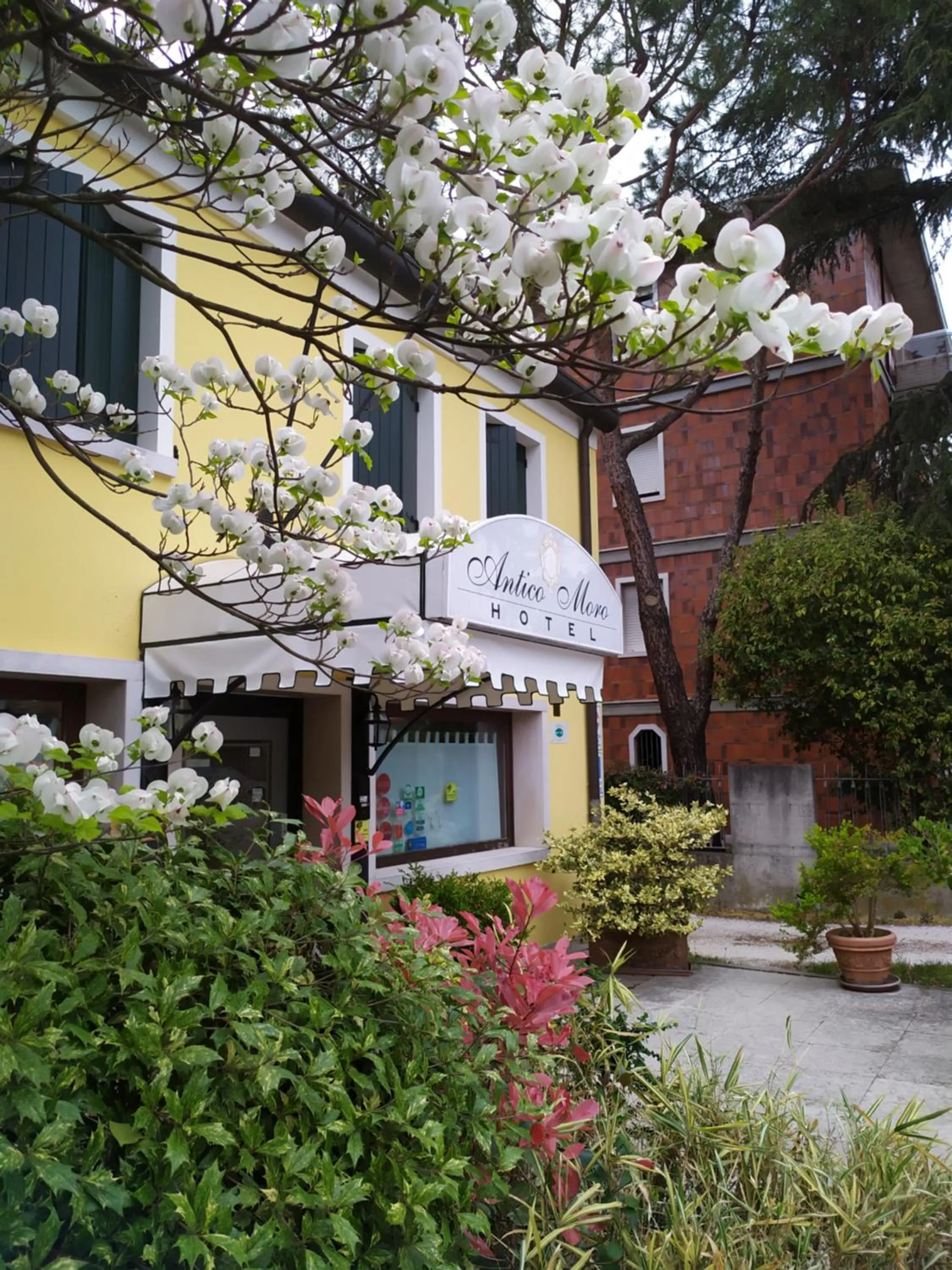 Facade/entrance in Hotel Antico Moro